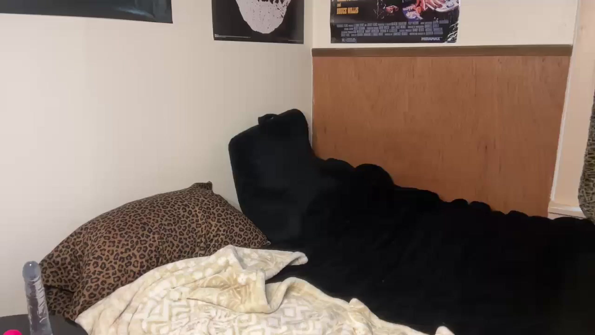 Gallery image thumbnail from bec69's myfreecams stream on, 02/23/2026, 24:27 image 20 of 20