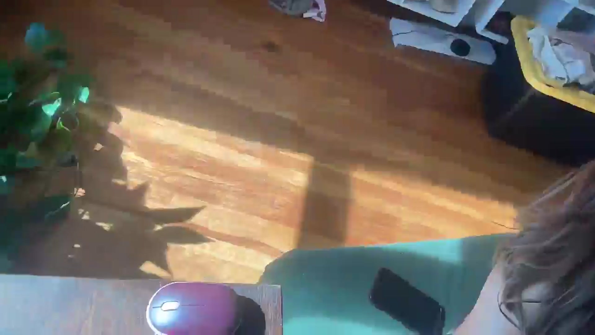 Gallery image thumbnail from bellabaxxxter's myfreecams stream on, 02/14/2025, 18:32 image 15 of 20