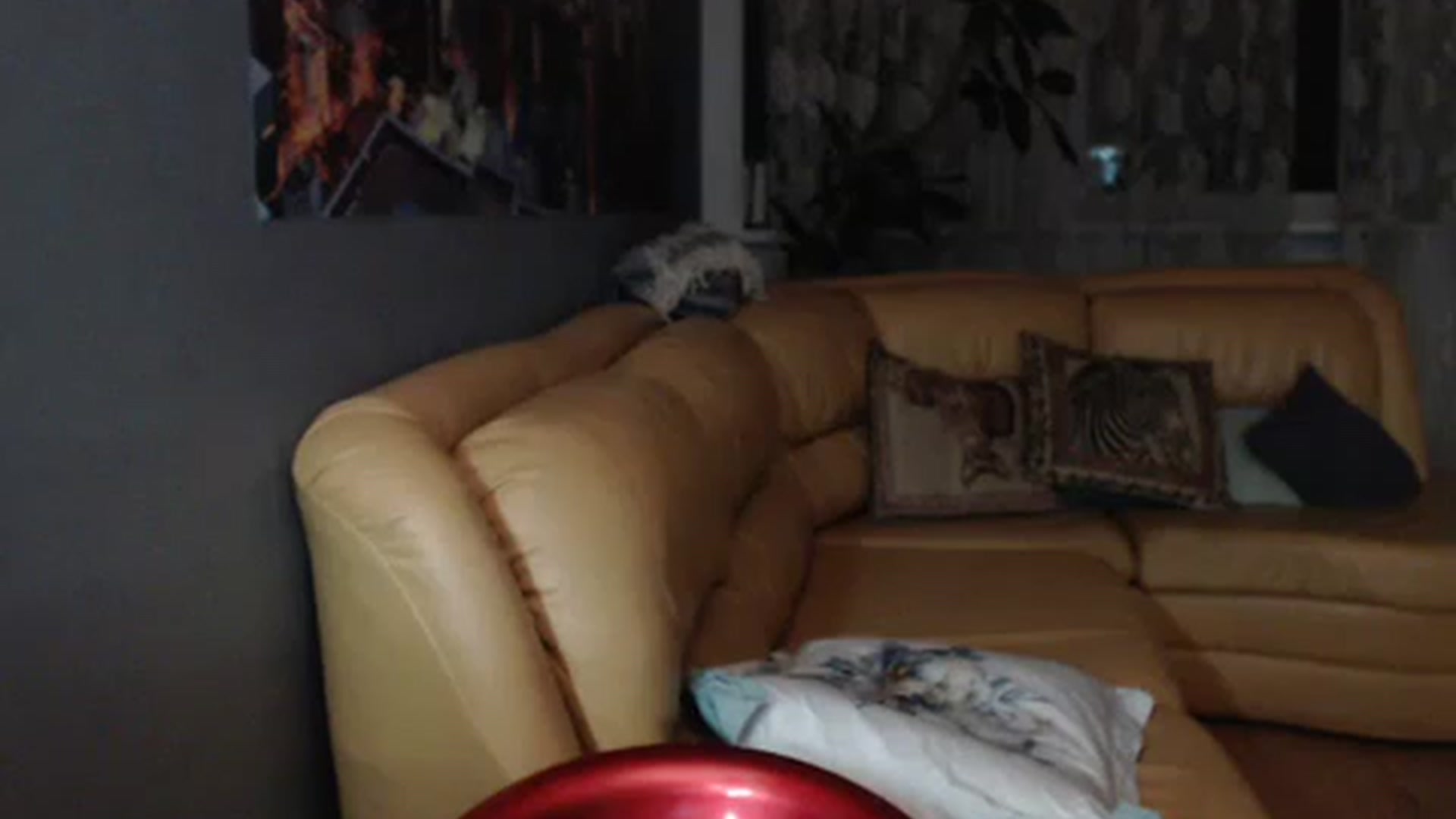 Gallery image thumbnail from best_assss's myfreecams stream on, 01/01/2023, 22:05 image 16 of 20