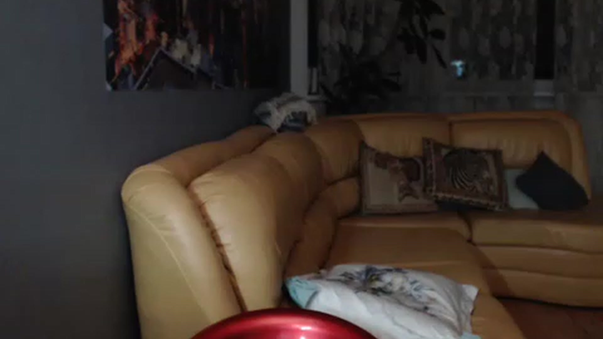 Gallery image thumbnail from best_assss's myfreecams stream on, 01/01/2023, 22:05 image 15 of 20
