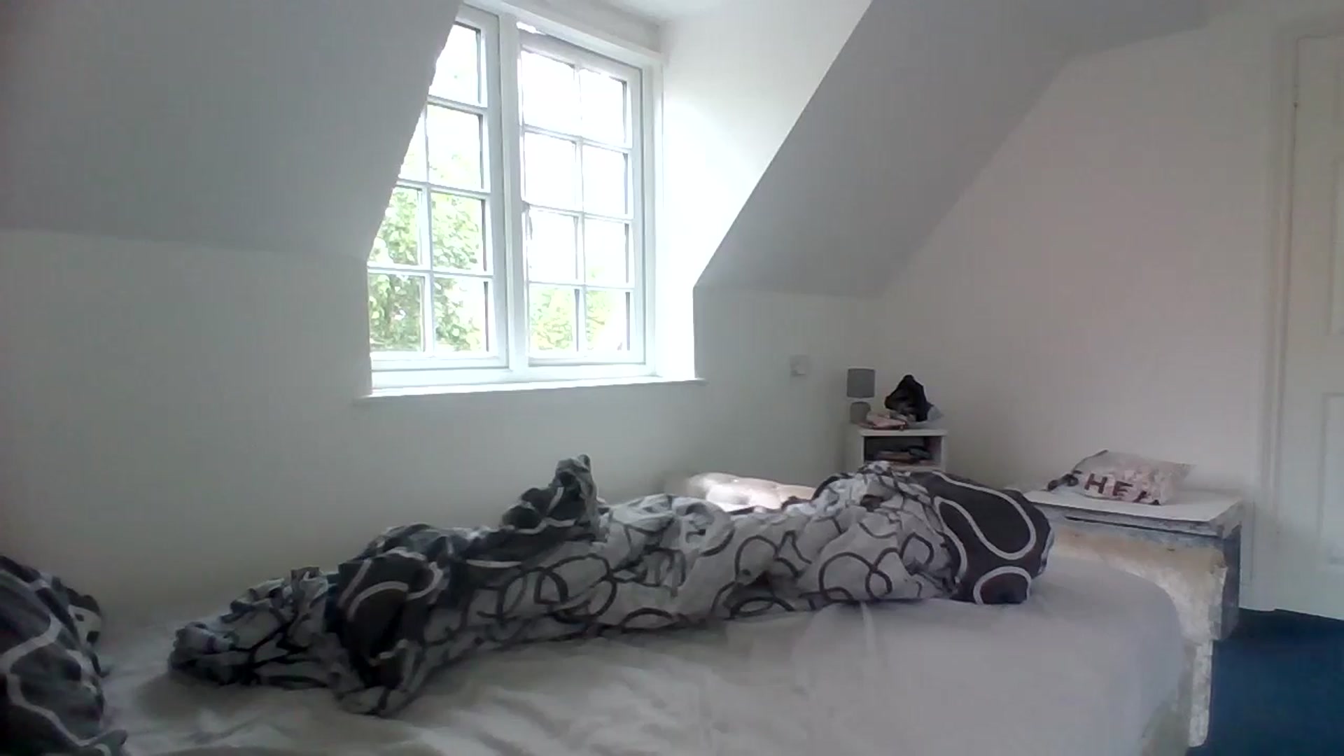 Gallery image thumbnail from bigassbrunxox's myfreecams stream on, 07/02/2024, 11:26 image 12 of 20