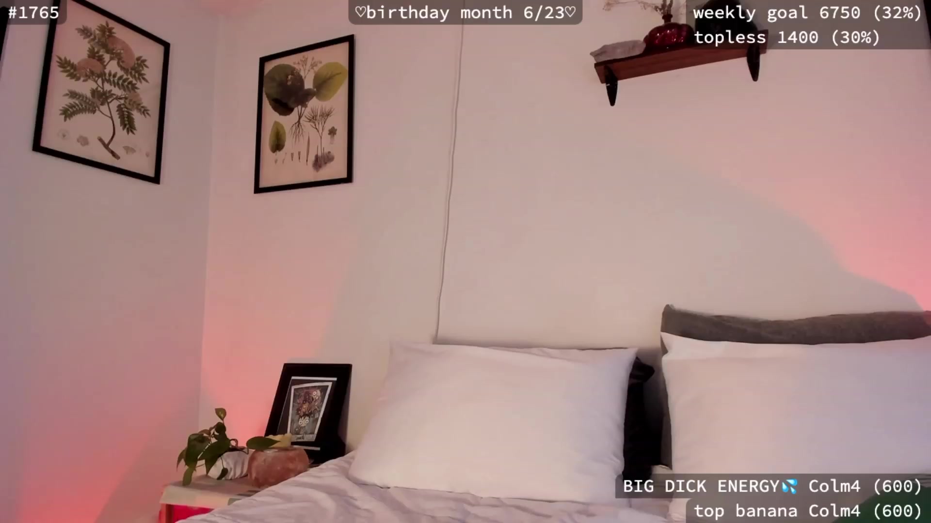 Gallery image thumbnail from birthday_ari's myfreecams stream on, 06/13/2023, 24:37 image 2 of 20