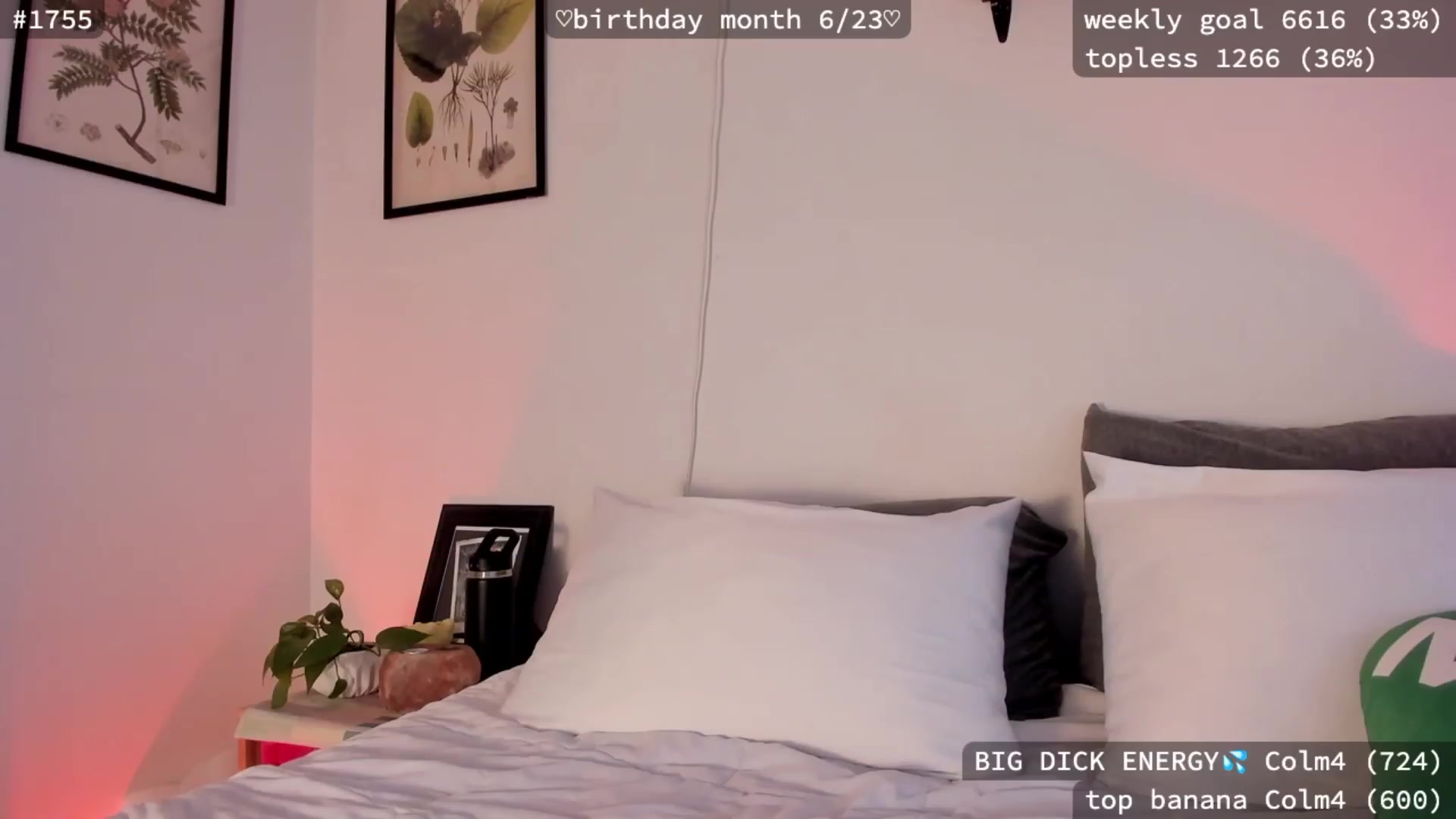 Gallery image thumbnail from birthday_ari's myfreecams stream on, 06/13/2023, 24:37 image 15 of 20