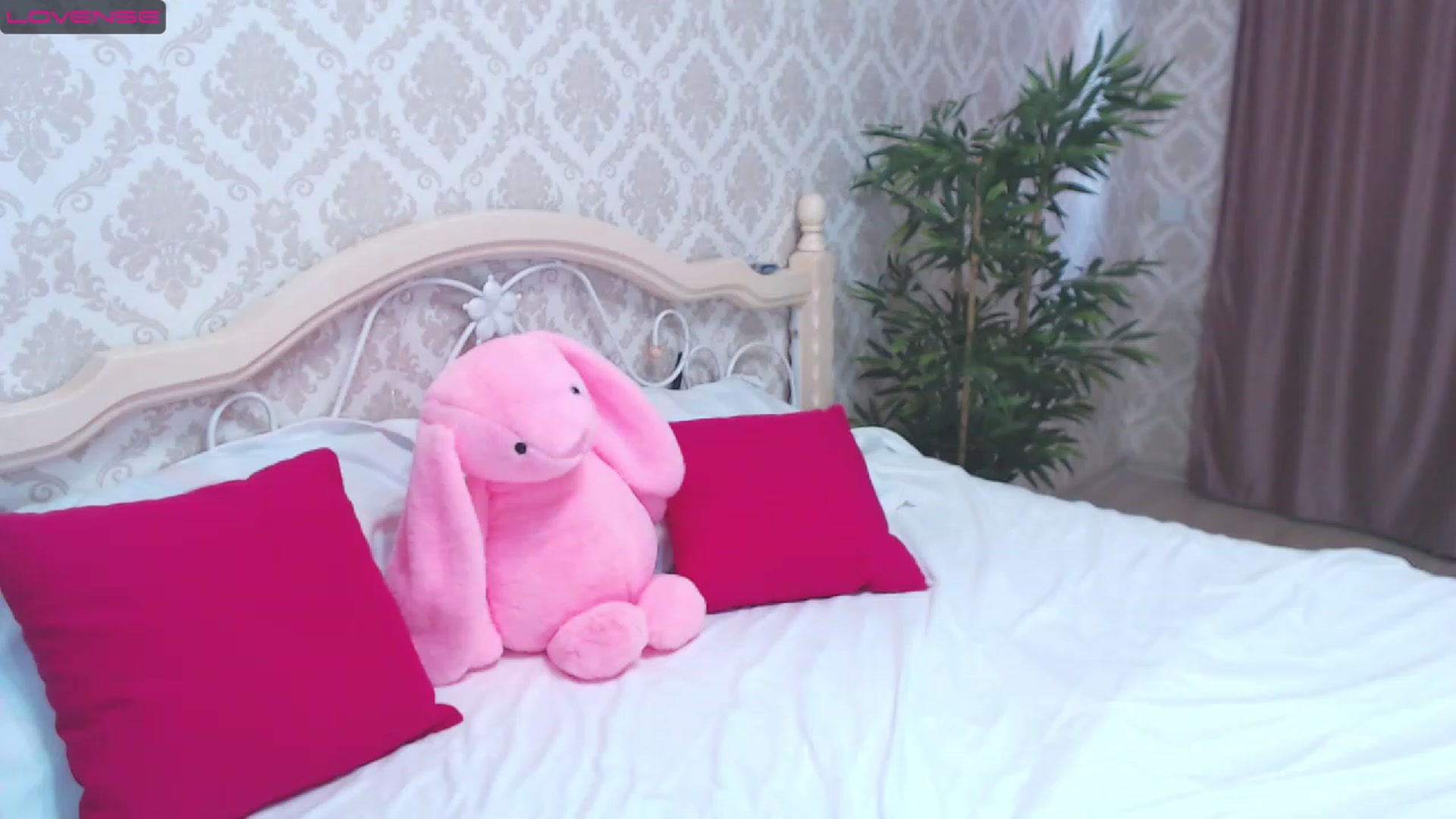 Gallery image thumbnail from blackfoxi's myfreecams stream on, 05/30/2023, 13:46 image 12 of 20