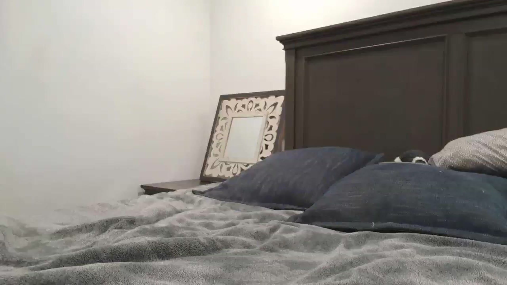 Gallery image thumbnail from blond_milf's myfreecams stream on, 03/06/2024, 06:45 image 19 of 20