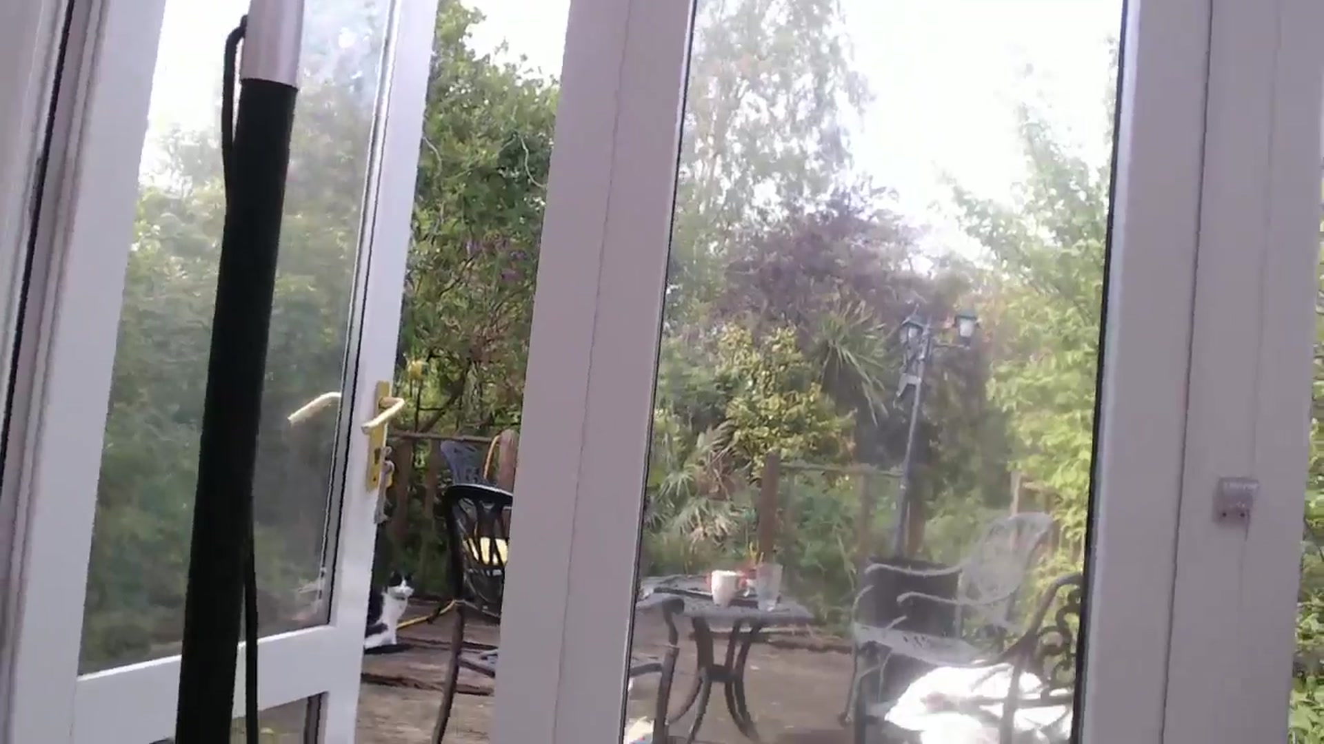 Gallery image thumbnail from blondey21uk's myfreecams stream on, 04/26/2026, 14:12 image 20 of 20