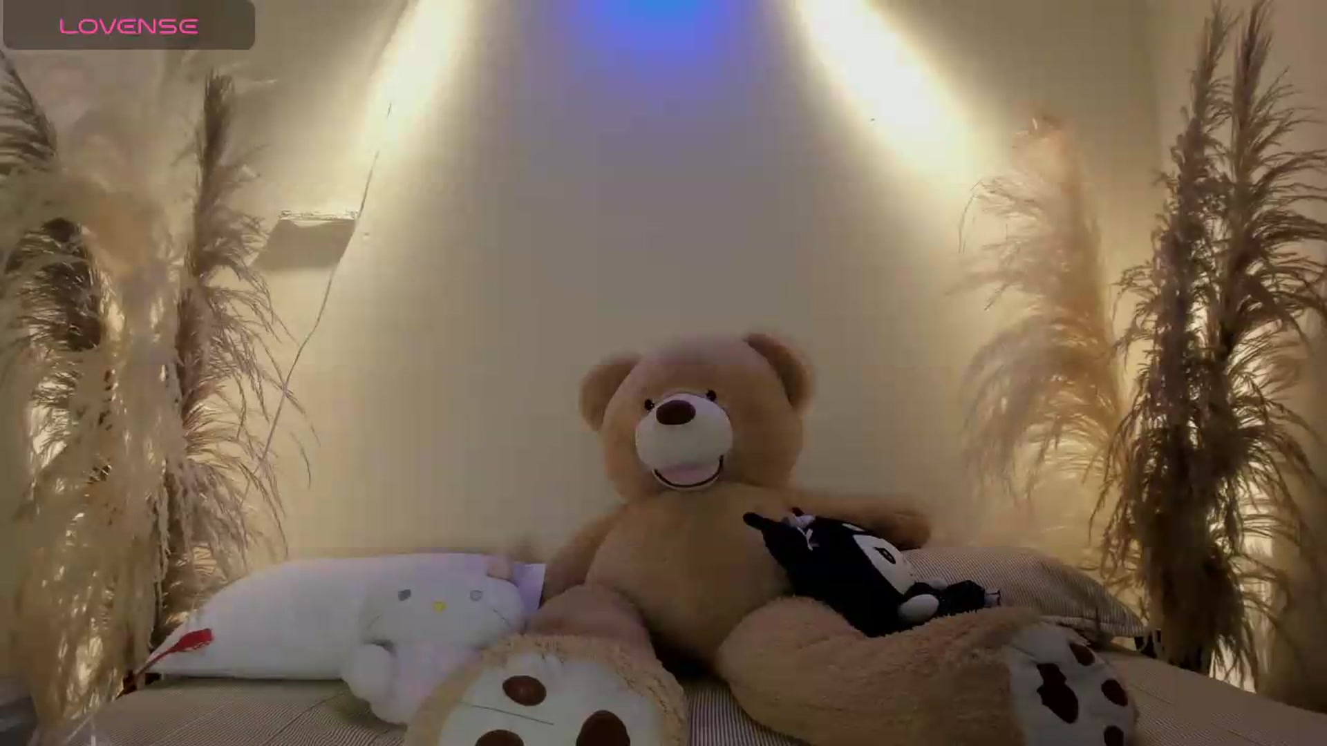 Gallery image thumbnail from bloodymary_'s myfreecams stream on, 05/21/2026, 02:57 image 14 of 20