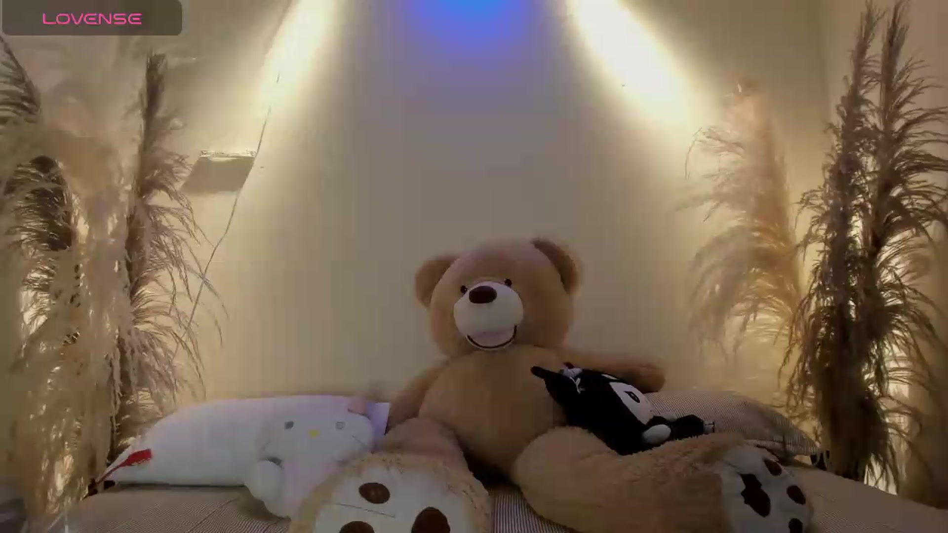 Gallery image thumbnail from bloodymary_'s myfreecams stream on, 05/21/2026, 02:57 image 16 of 20