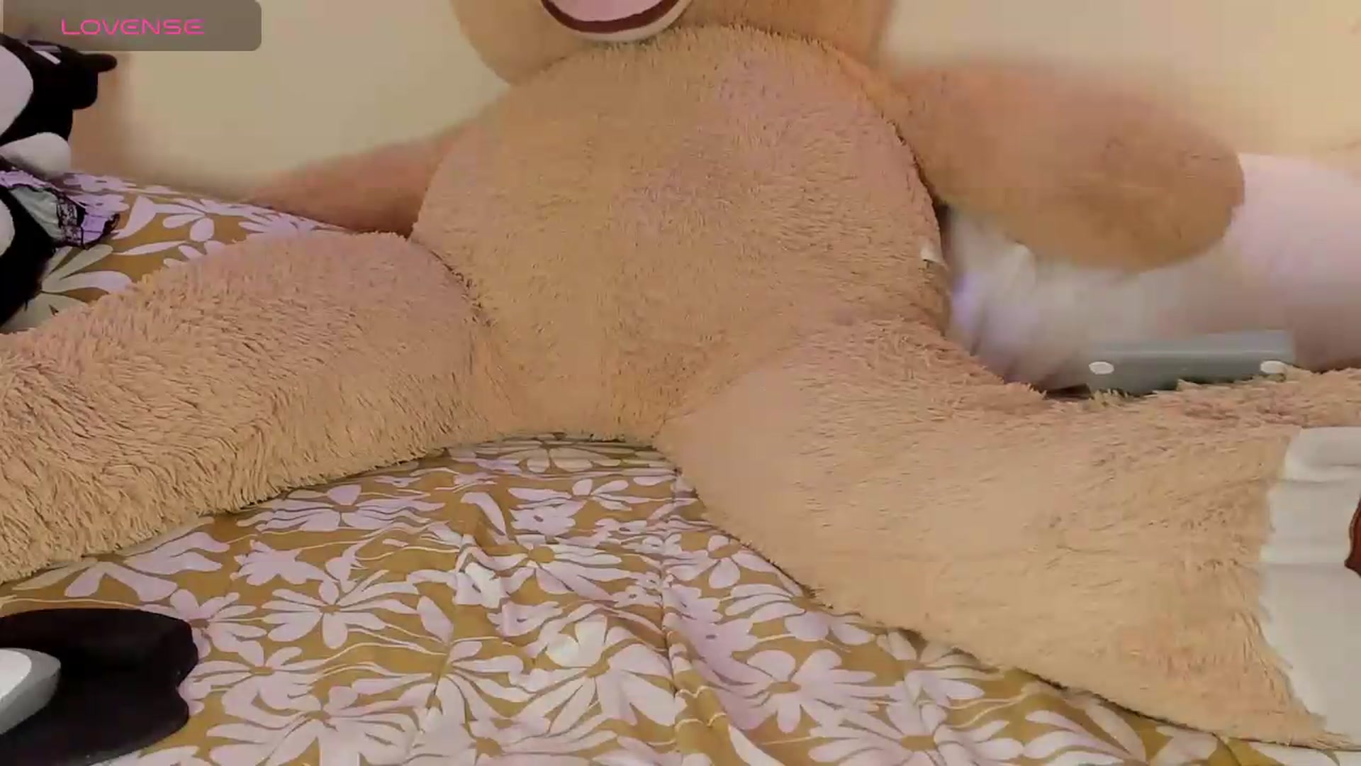 Gallery image thumbnail from bloodymary_'s myfreecams stream on, 05/25/2026, 05:30 image 4 of 20