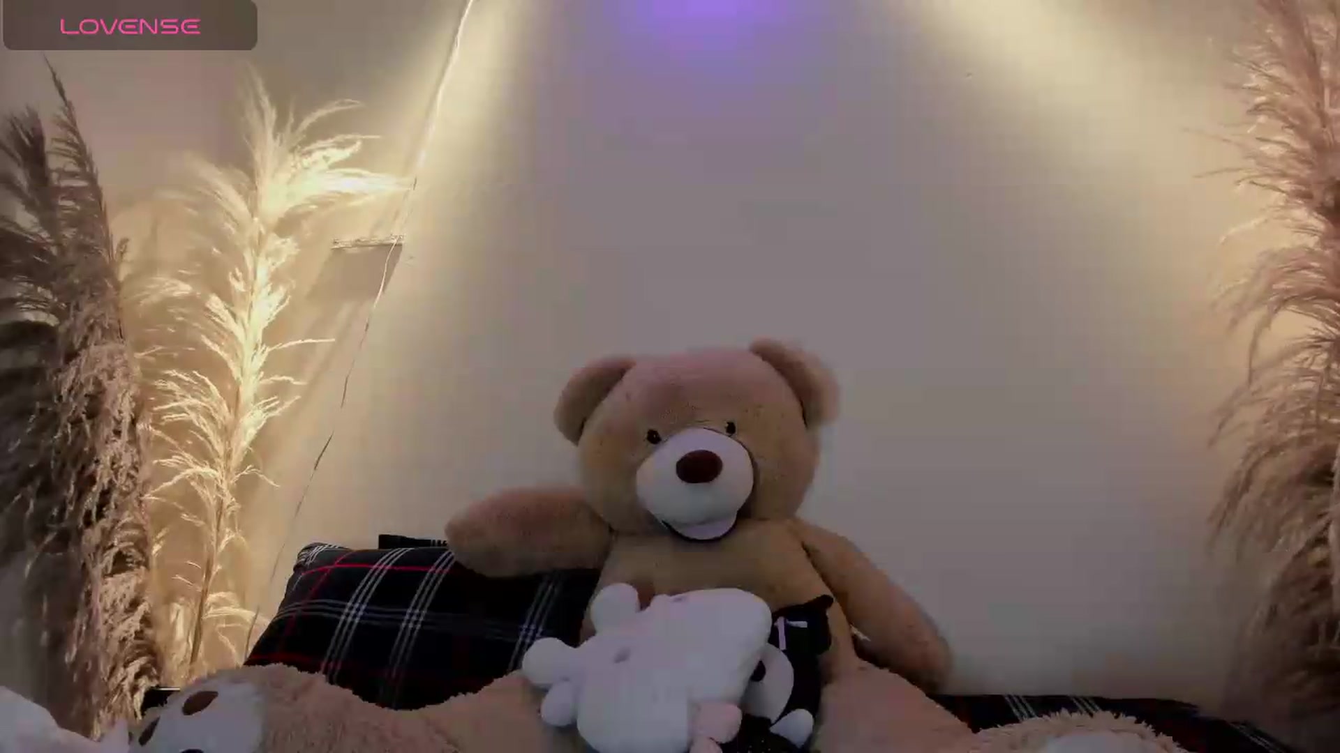 Gallery image thumbnail from bloodymary_'s myfreecams stream on, 07/11/2026, 07:59 image 20 of 20