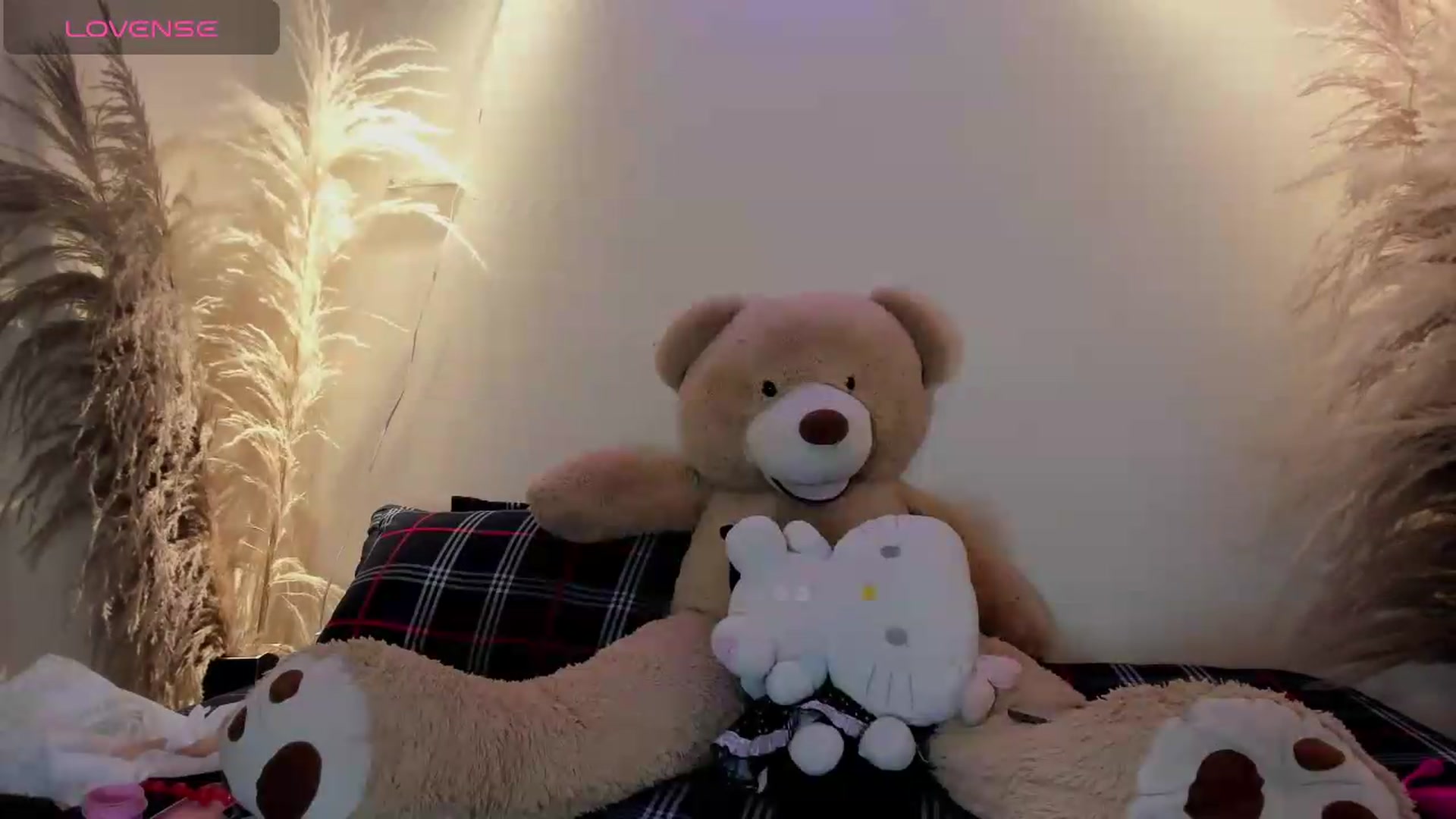 Gallery image thumbnail from bloodymary_'s myfreecams stream on, 07/11/2026, 07:59 image 9 of 20