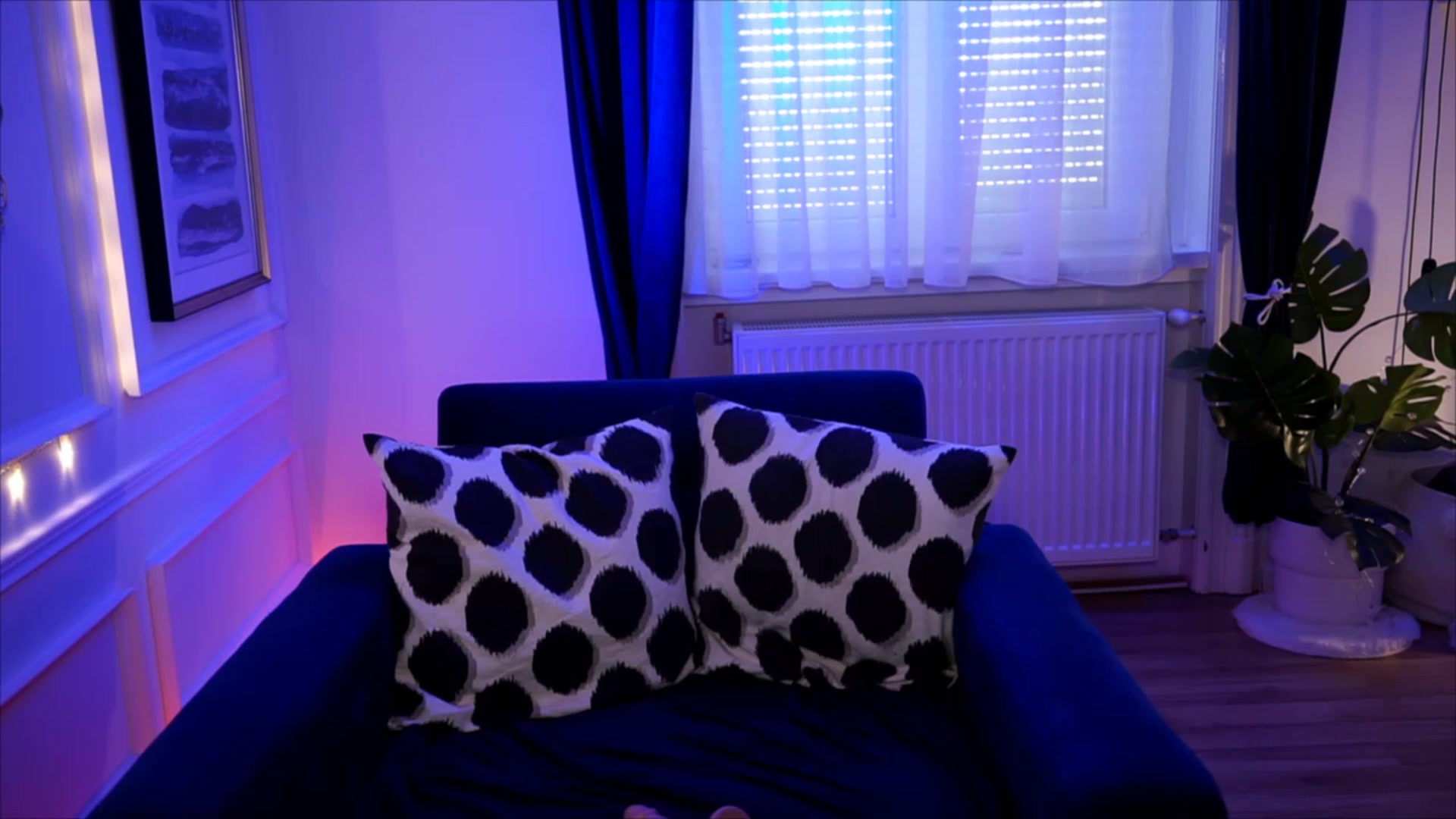 Gallery image thumbnail from blueexstacey's myfreecams stream on, 08/21/2023, 14:34 image 11 of 20