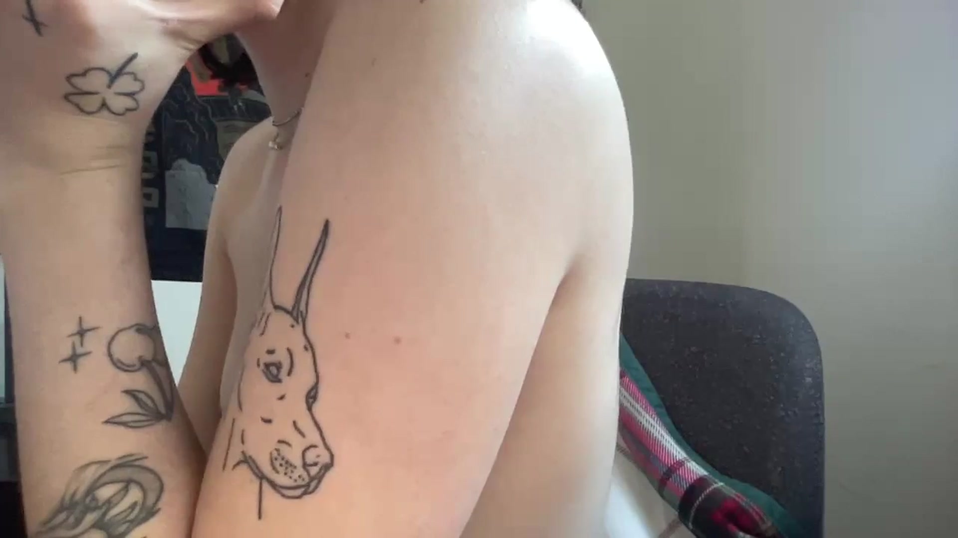 Gallery image thumbnail from bobatea1's myfreecams stream on, 11/12/2024, 18:24 image 3 of 20