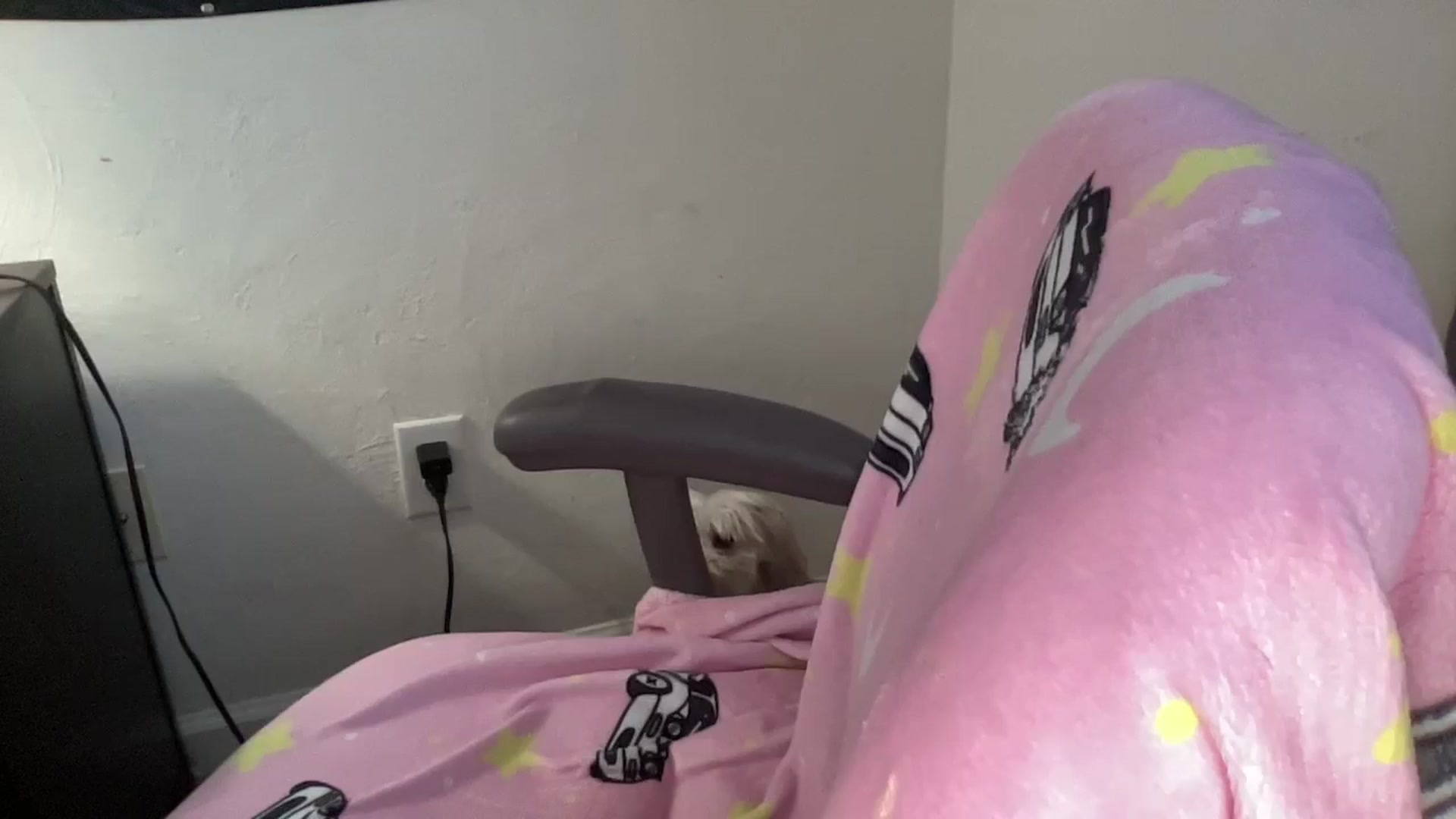 Gallery image thumbnail from bobatea1's myfreecams stream on, 11/21/2024, 14:19 image 4 of 20