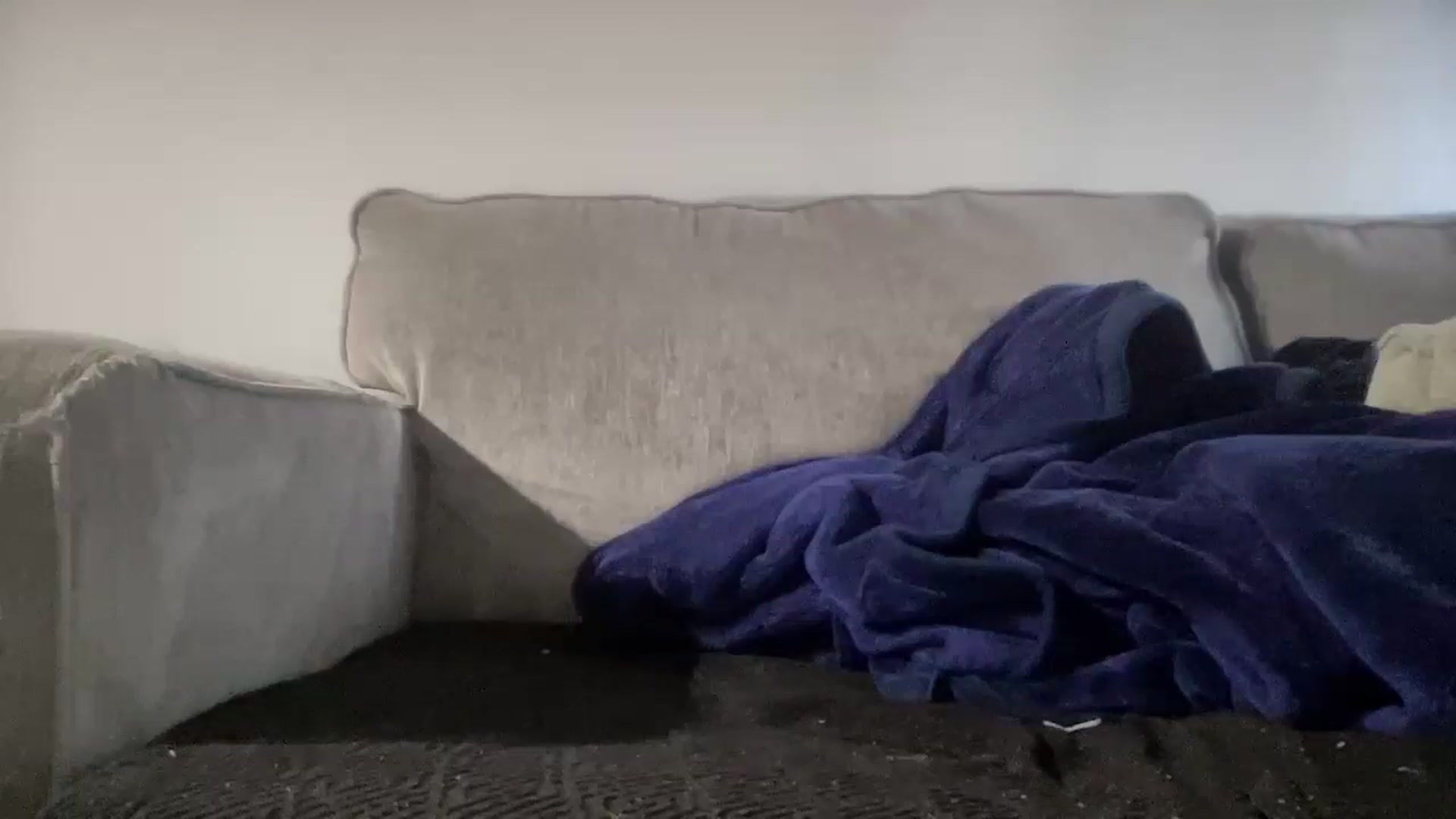 Gallery image thumbnail from bobatea1's myfreecams stream on, 02/10/2025, 16:30 image 16 of 20