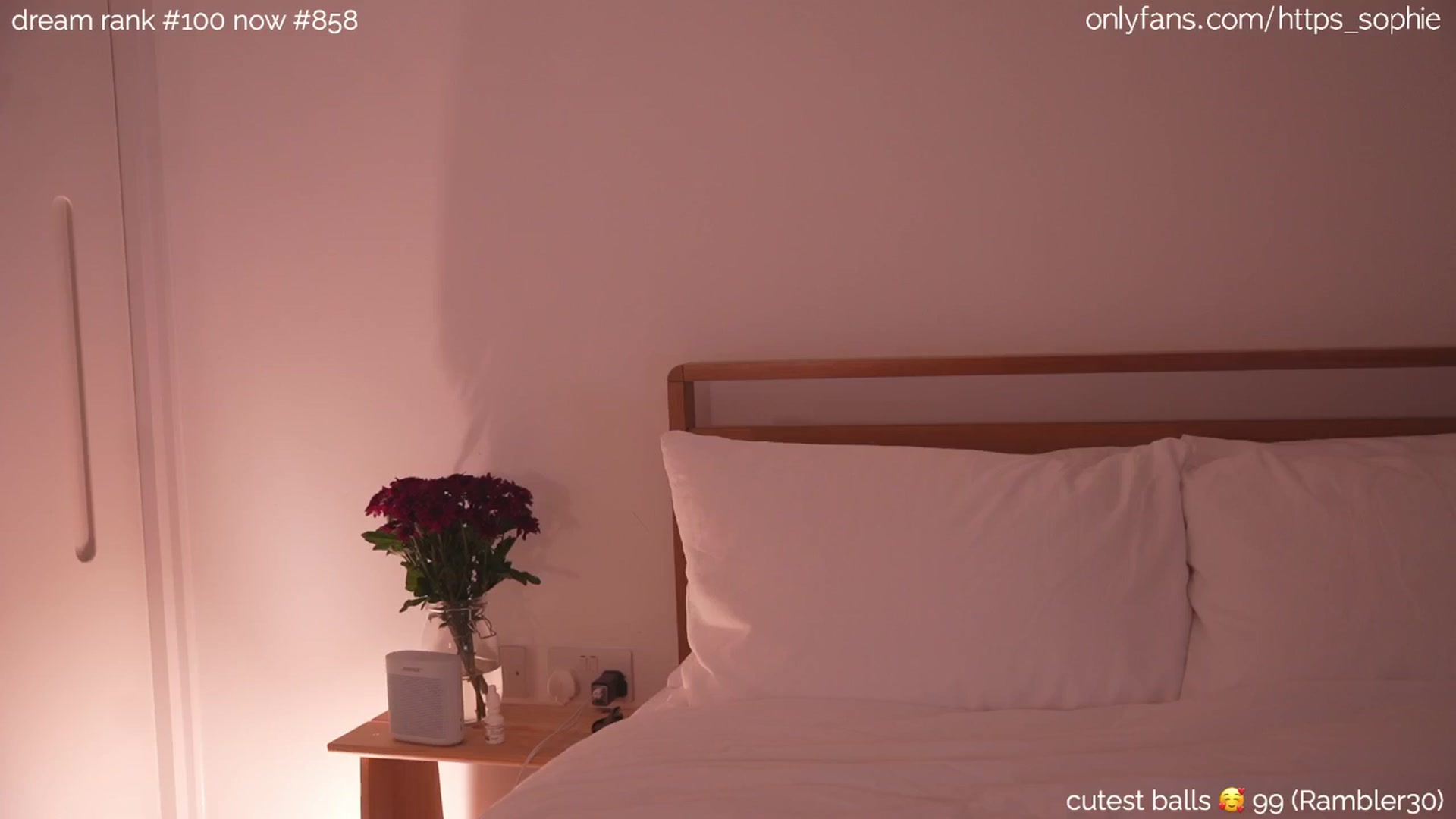 Gallery image thumbnail from boobietrap's myfreecams stream on, 06/17/2024, 24:05 image 10 of 20