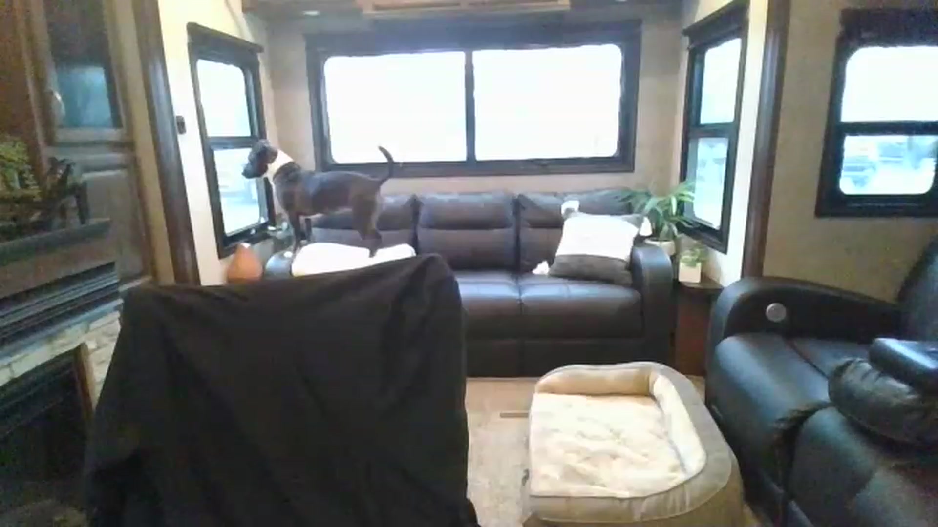 Gallery image thumbnail from boringmom's myfreecams stream on, 02/03/2023, 17:28 image 20 of 20