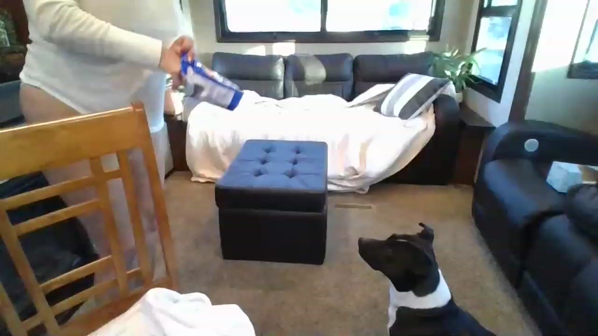 Gallery image thumbnail from boringmom's myfreecams stream on, 02/18/2023, 15:50 image 16 of 20