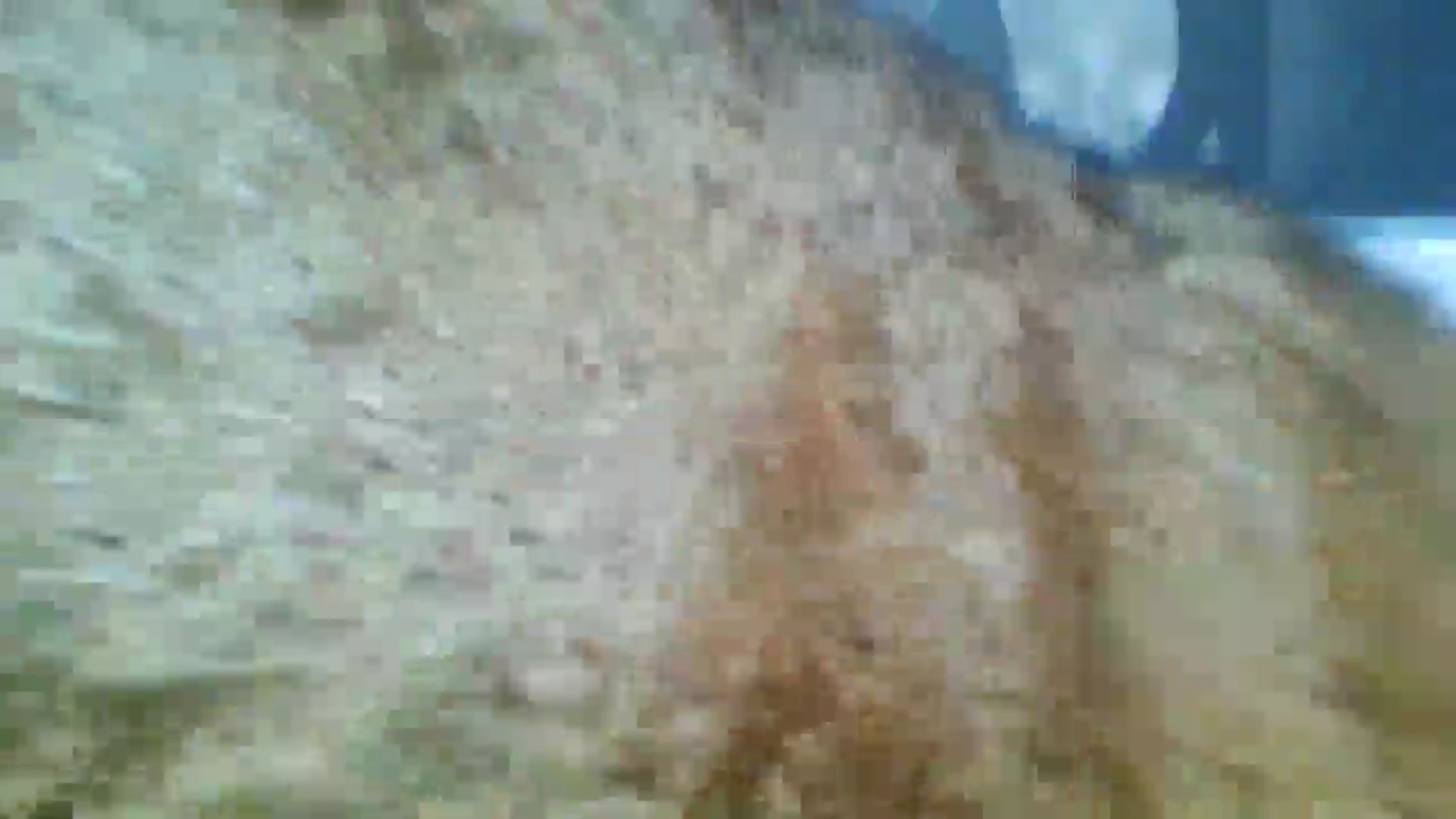 Gallery image thumbnail from born_to_sin's myfreecams stream on, 01/02/2026, 16:07 image 6 of 20