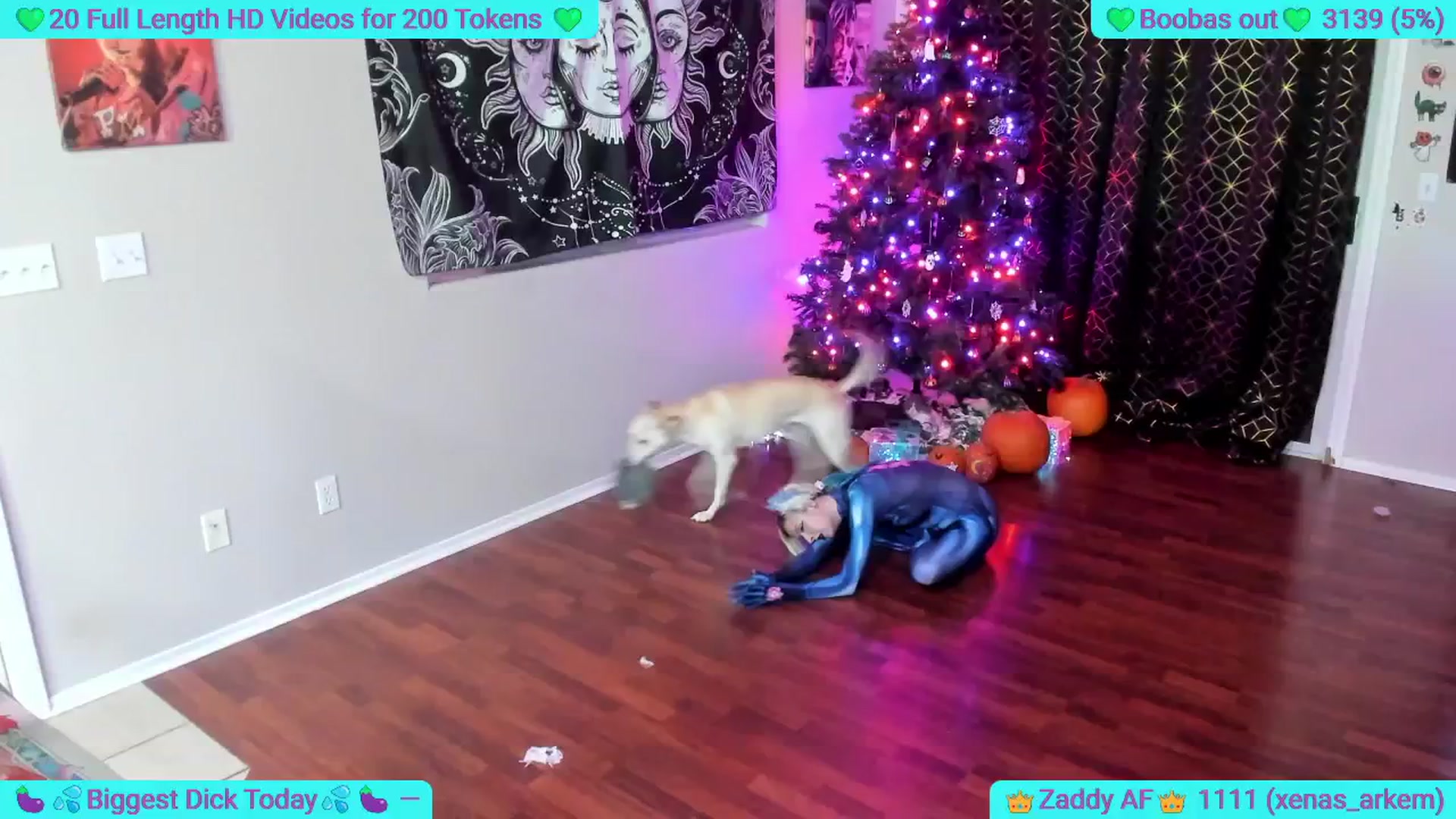 Gallery image thumbnail from braindedbby's myfreecams stream on, 11/12/2025, 03:41 image 10 of 20