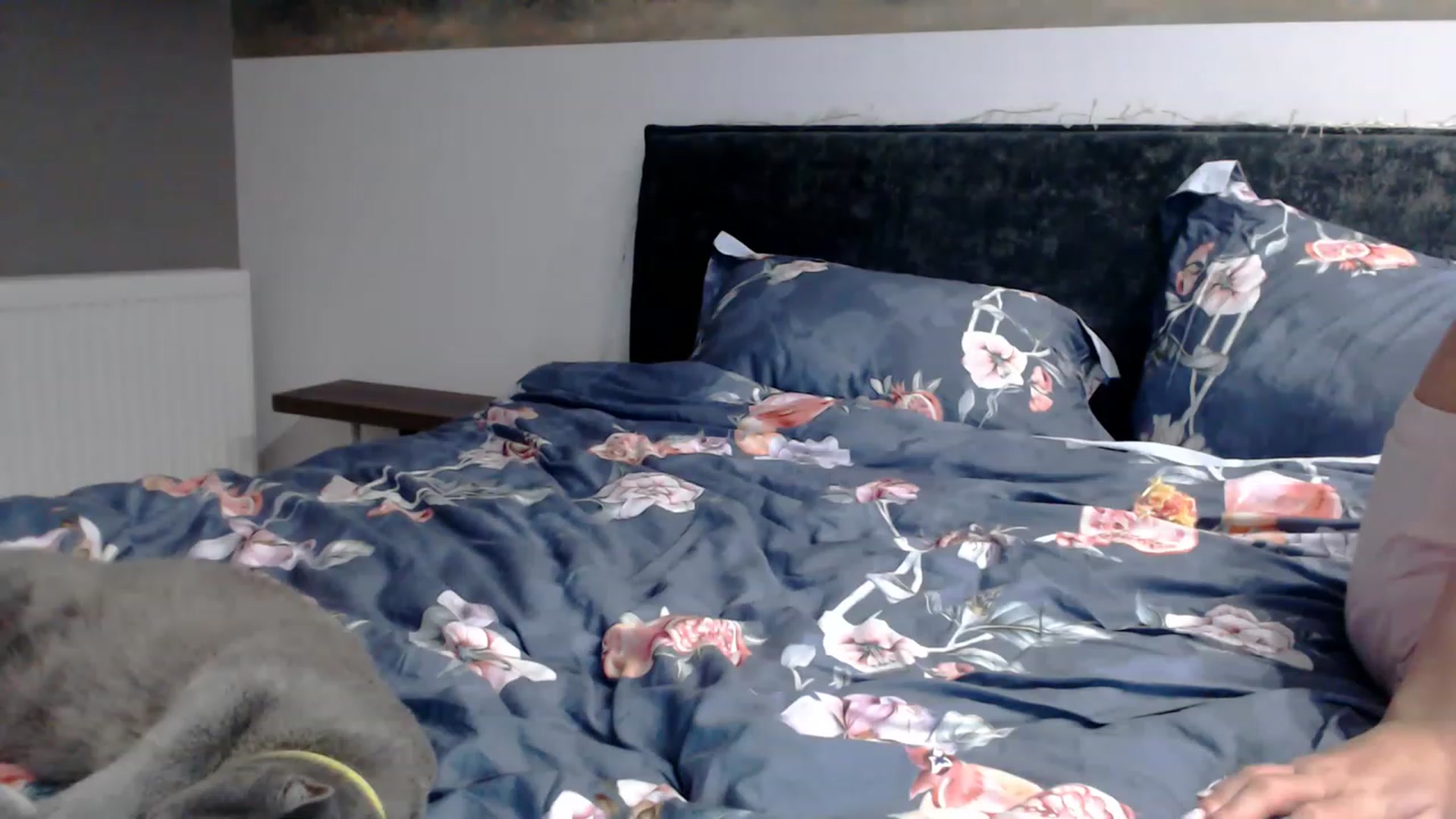 Gallery image thumbnail from bridetobe's myfreecams stream on, 02/19/2023, 01:50 image 13 of 20