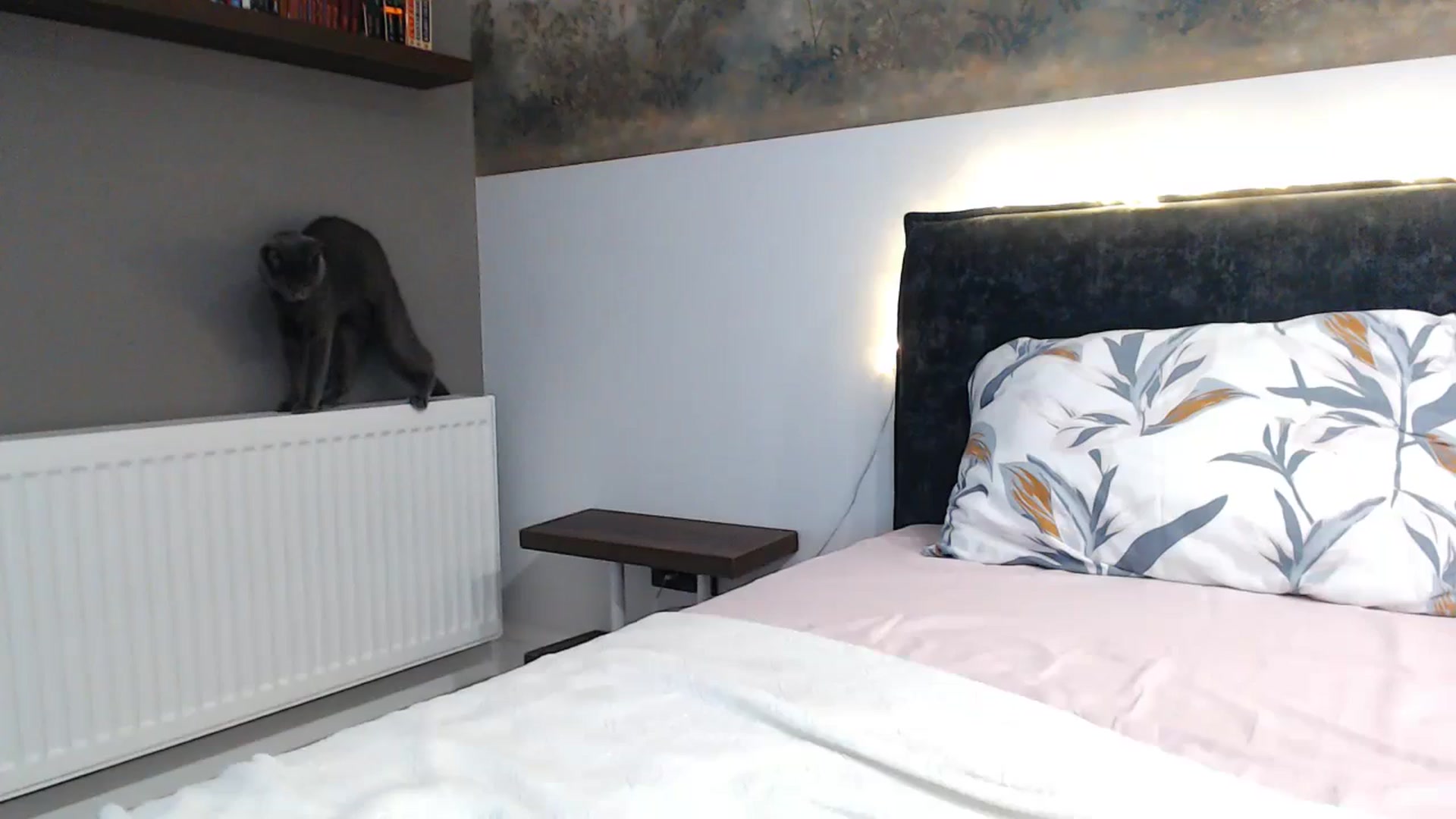 Gallery image thumbnail from bridetobe's myfreecams stream on, 11/23/2023, 05:32 image 1 of 20