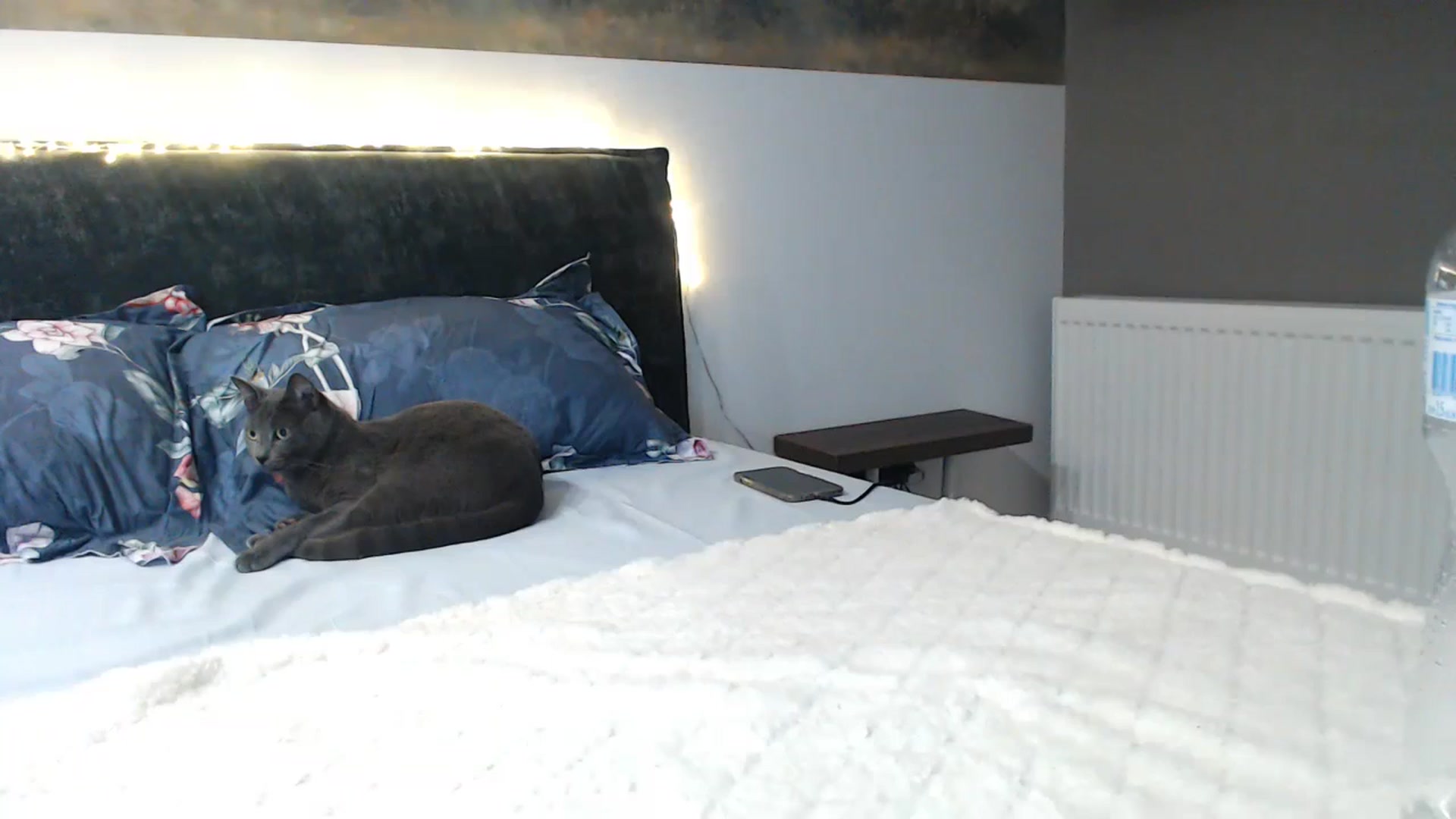 Gallery image thumbnail from bridetobe's myfreecams stream on, 12/24/2023, 04:48 image 19 of 20