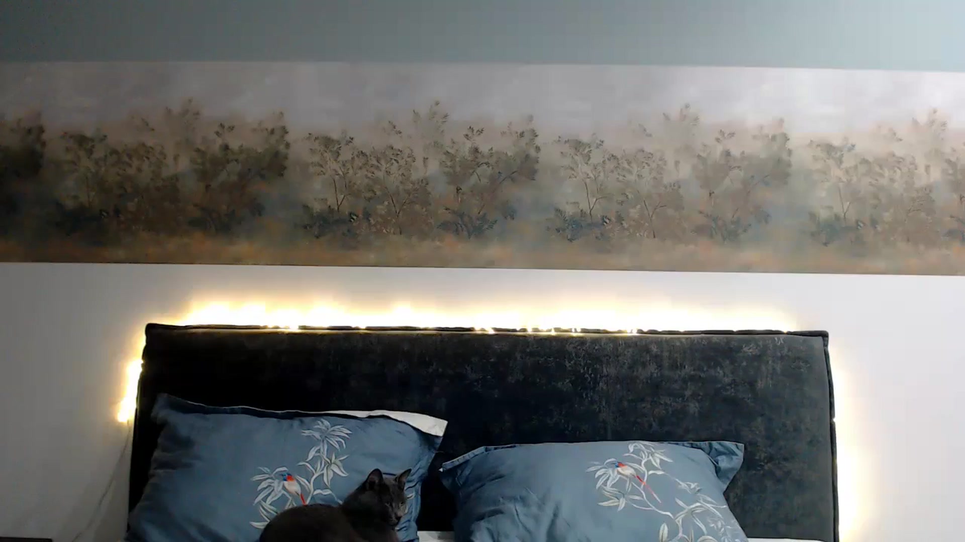 Gallery image thumbnail from bridetobe's myfreecams stream on, 01/08/2024, 03:45 image 5 of 20