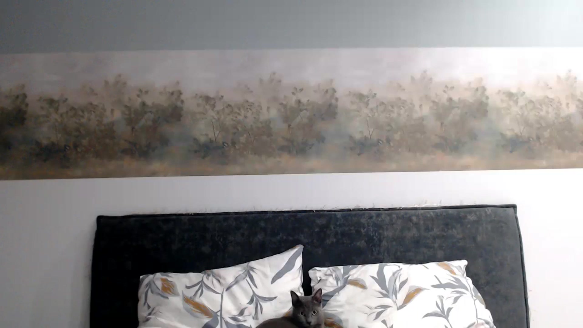 Gallery image thumbnail from bridetobe's myfreecams stream on, 01/13/2024, 02:05 image 13 of 20