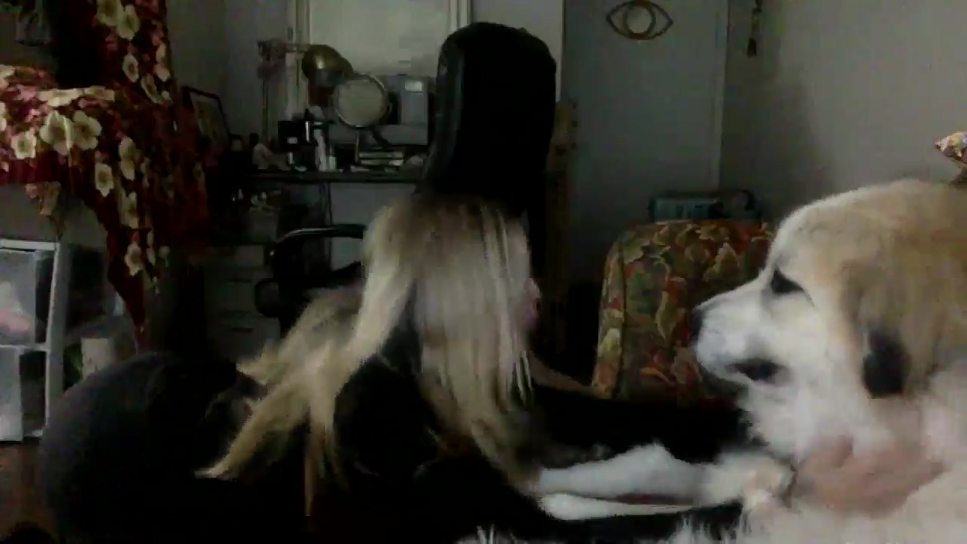Gallery image thumbnail from bunnygirl's myfreecams stream on, 12/04/2025, 22:08 image 17 of 20