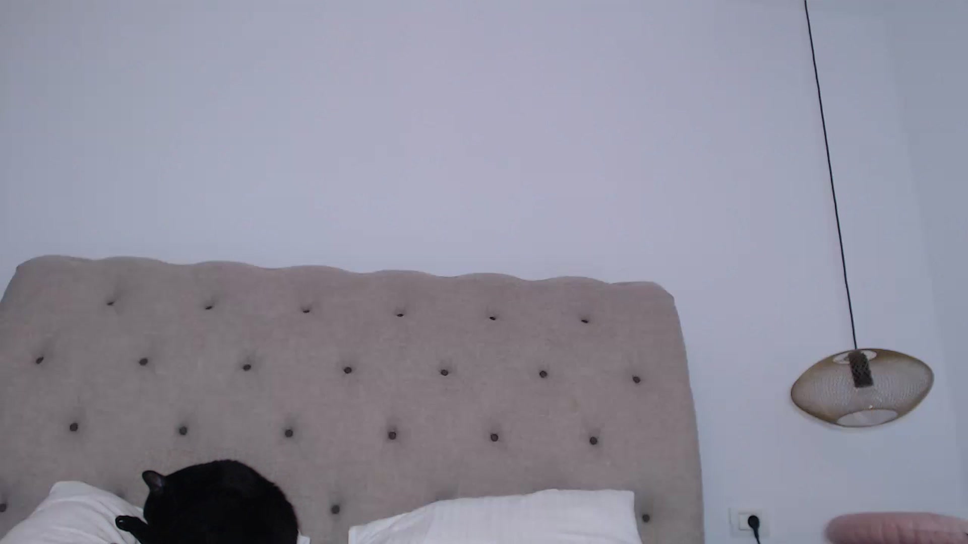 Gallery image thumbnail from call_me_em's myfreecams stream on, 11/16/2022, 08:46 image 8 of 20