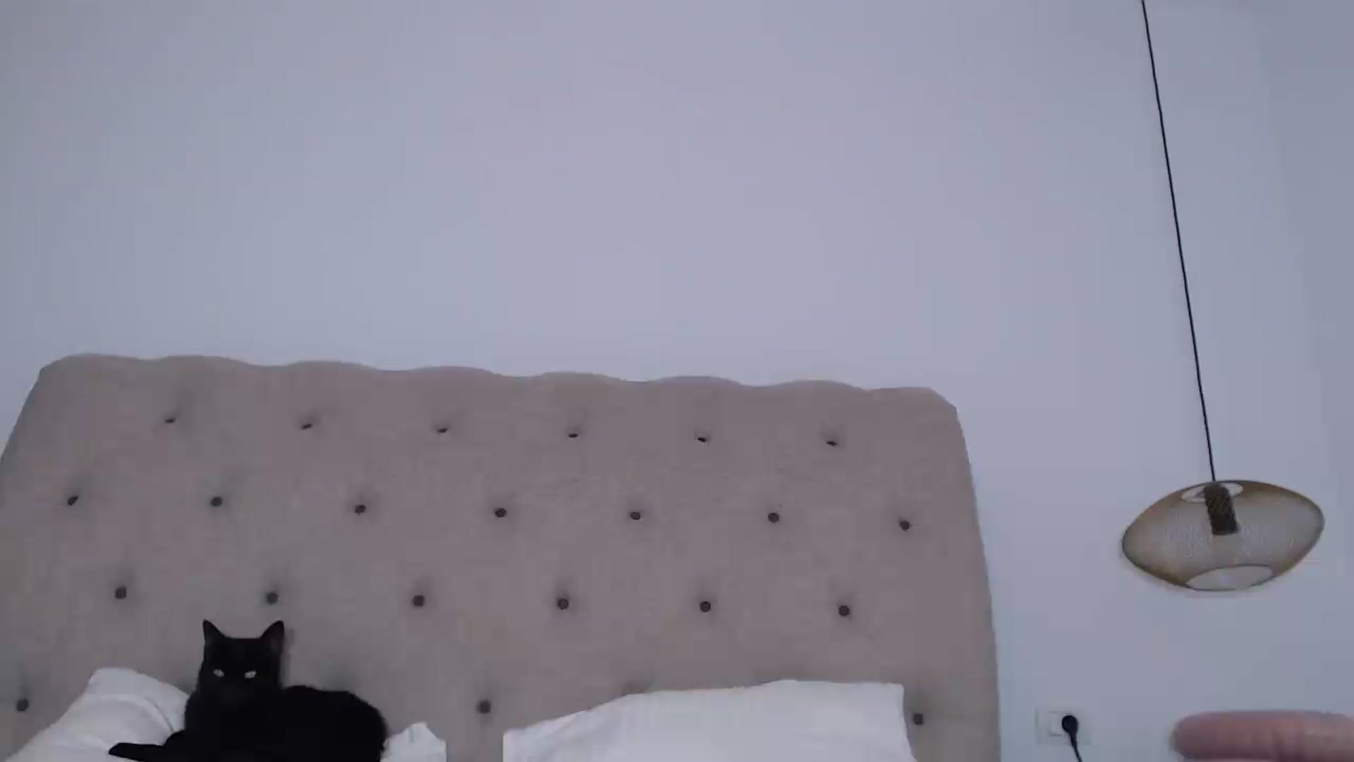Gallery image thumbnail from call_me_em's myfreecams stream on, 11/16/2022, 08:46 image 16 of 20