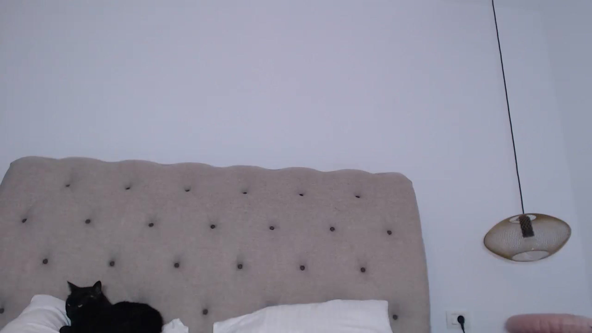 Gallery image thumbnail from call_me_em's myfreecams stream on, 11/16/2022, 08:46 image 12 of 20