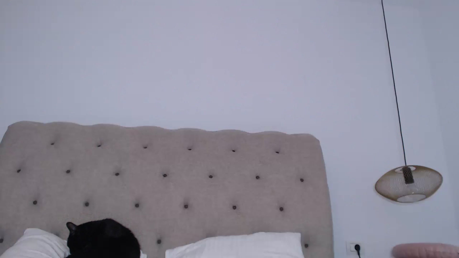 Gallery image thumbnail from call_me_em's myfreecams stream on, 11/16/2022, 08:46 image 9 of 20