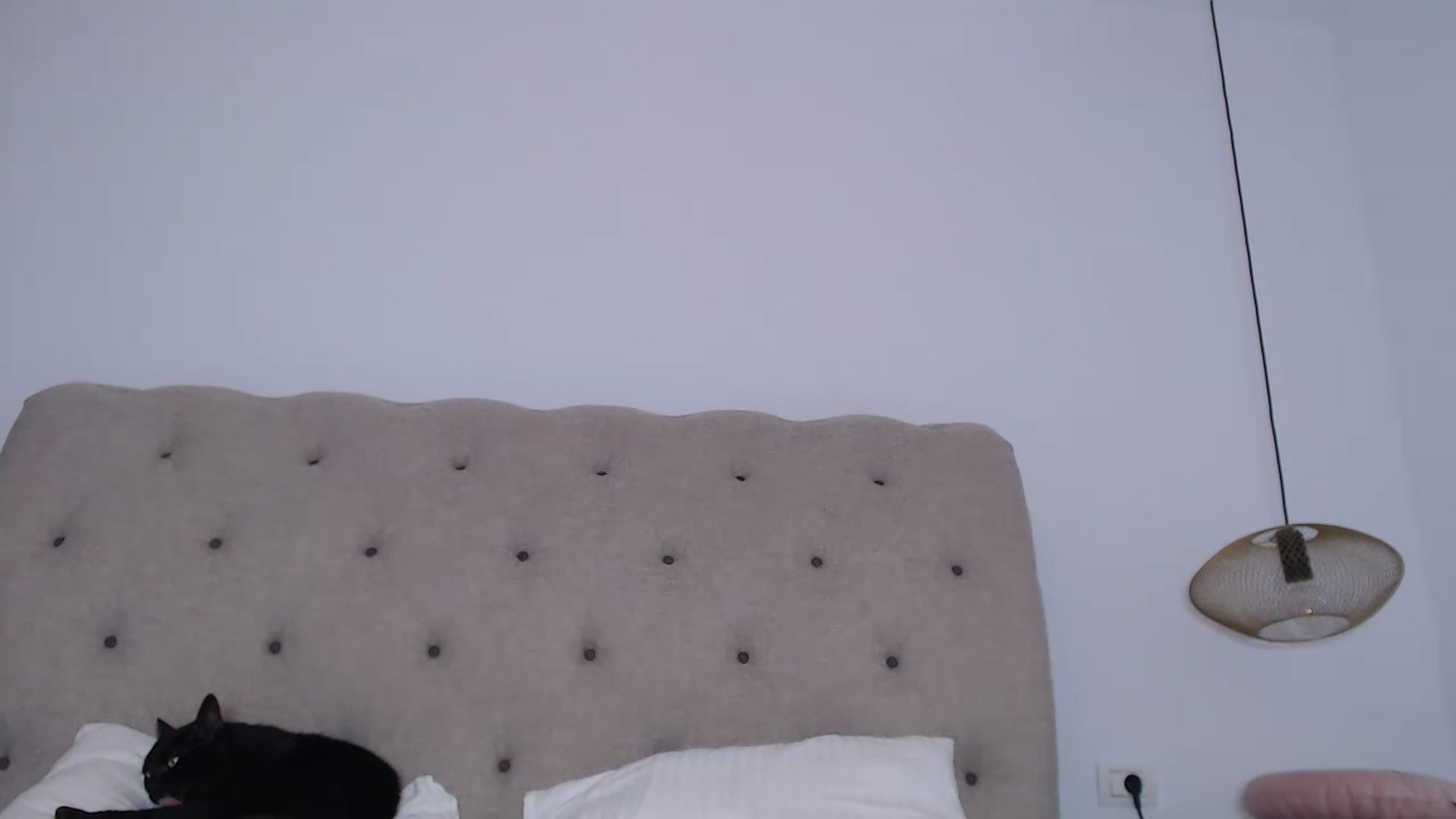 Gallery image thumbnail from call_me_em's myfreecams stream on, 11/16/2022, 08:46 image 6 of 20
