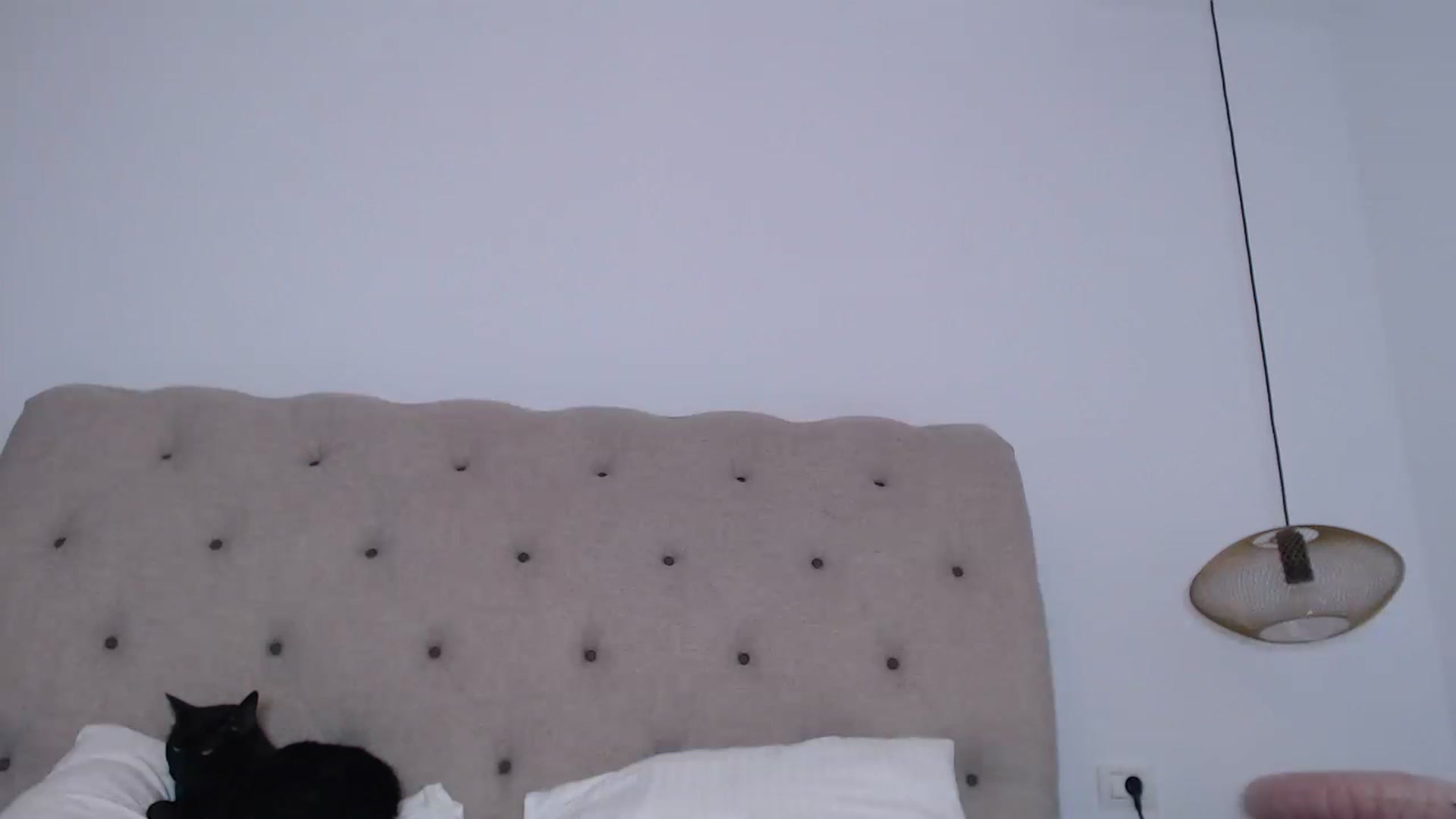 Gallery image thumbnail from call_me_em's myfreecams stream on, 11/16/2022, 08:46 image 11 of 20