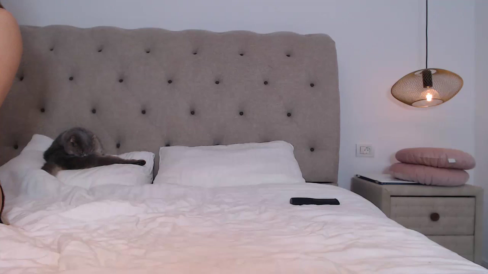 Gallery image thumbnail from call_me_em's myfreecams stream on, 11/22/2022, 18:42 image 2 of 20