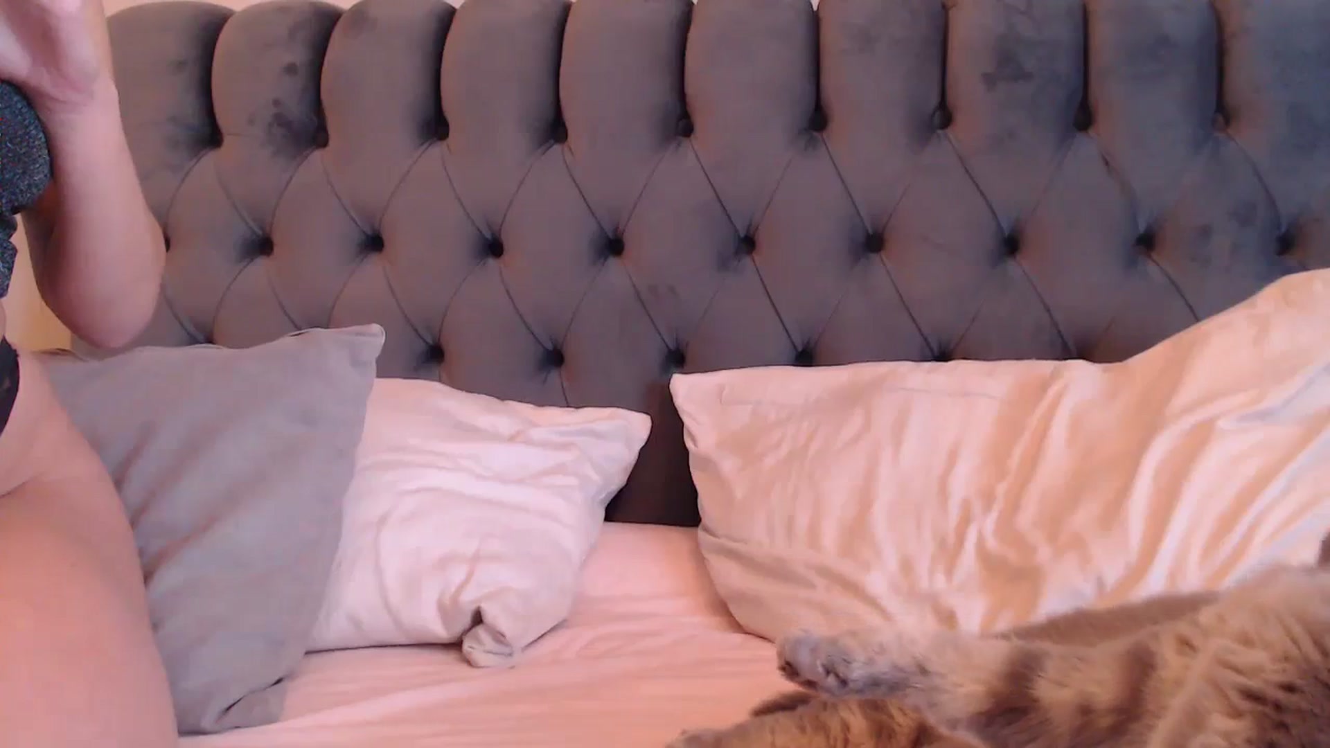 Gallery image thumbnail from call_me_em's myfreecams stream on, 10/24/2023, 08:59 image 18 of 20