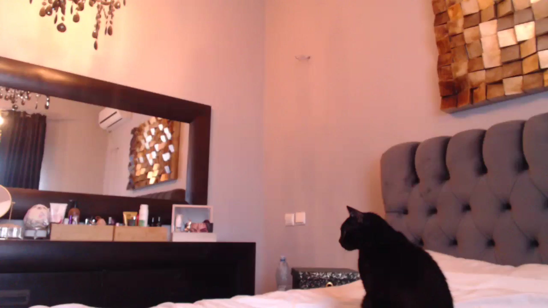 Gallery image thumbnail from call_me_em's myfreecams stream on, 11/10/2023, 08:18 image 5 of 20
