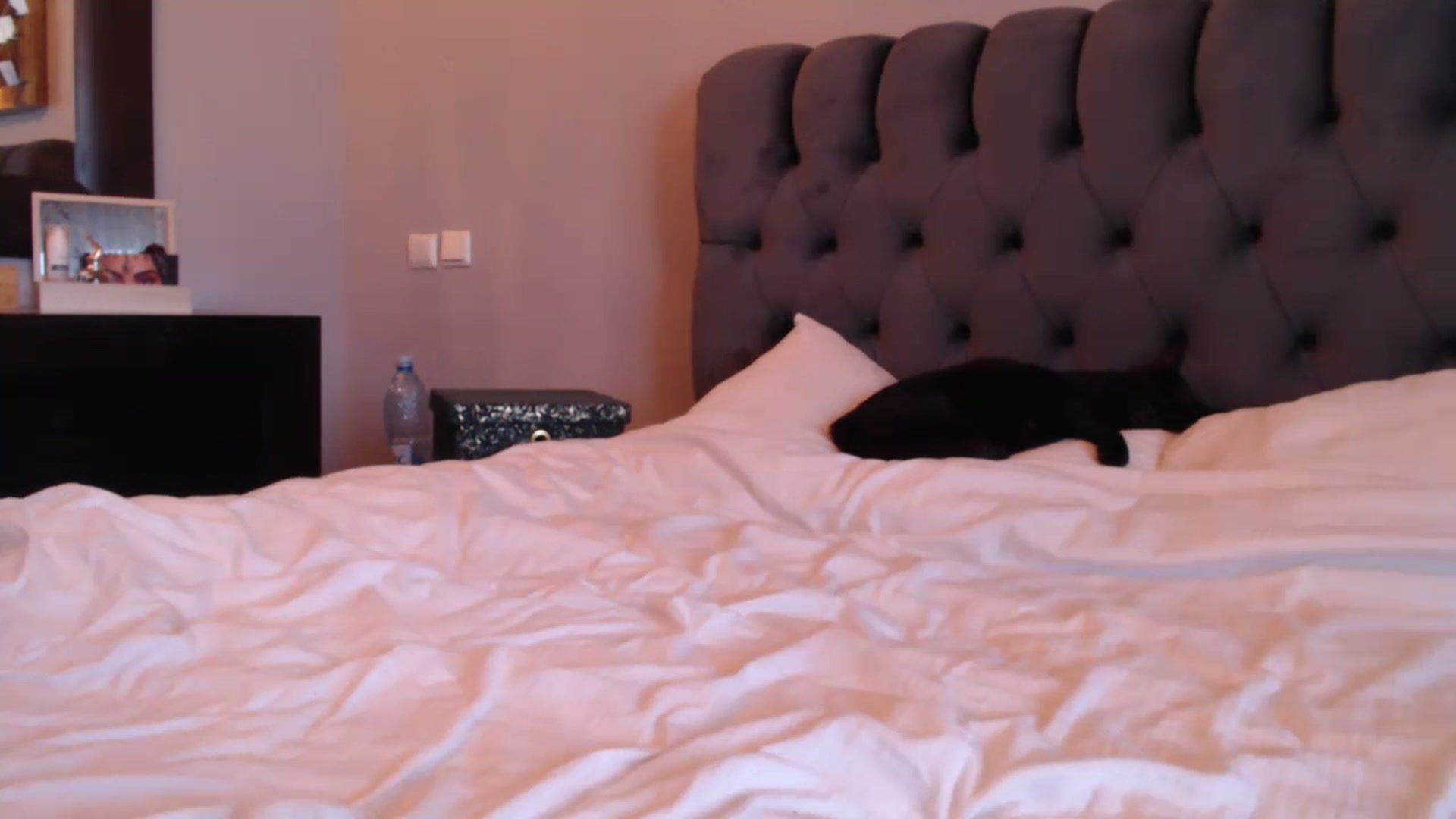 Gallery image thumbnail from call_me_em's myfreecams stream on, 11/10/2023, 10:48 image 9 of 20