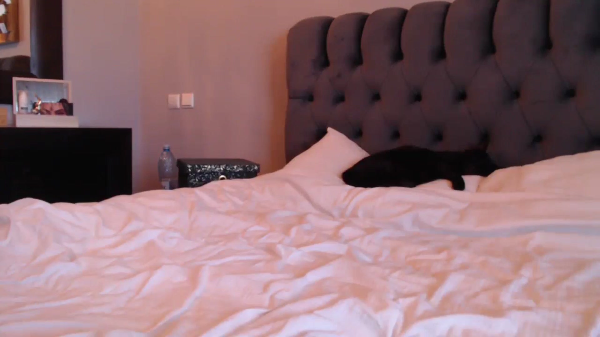 Gallery image thumbnail from call_me_em's myfreecams stream on, 11/10/2023, 10:48 image 8 of 20