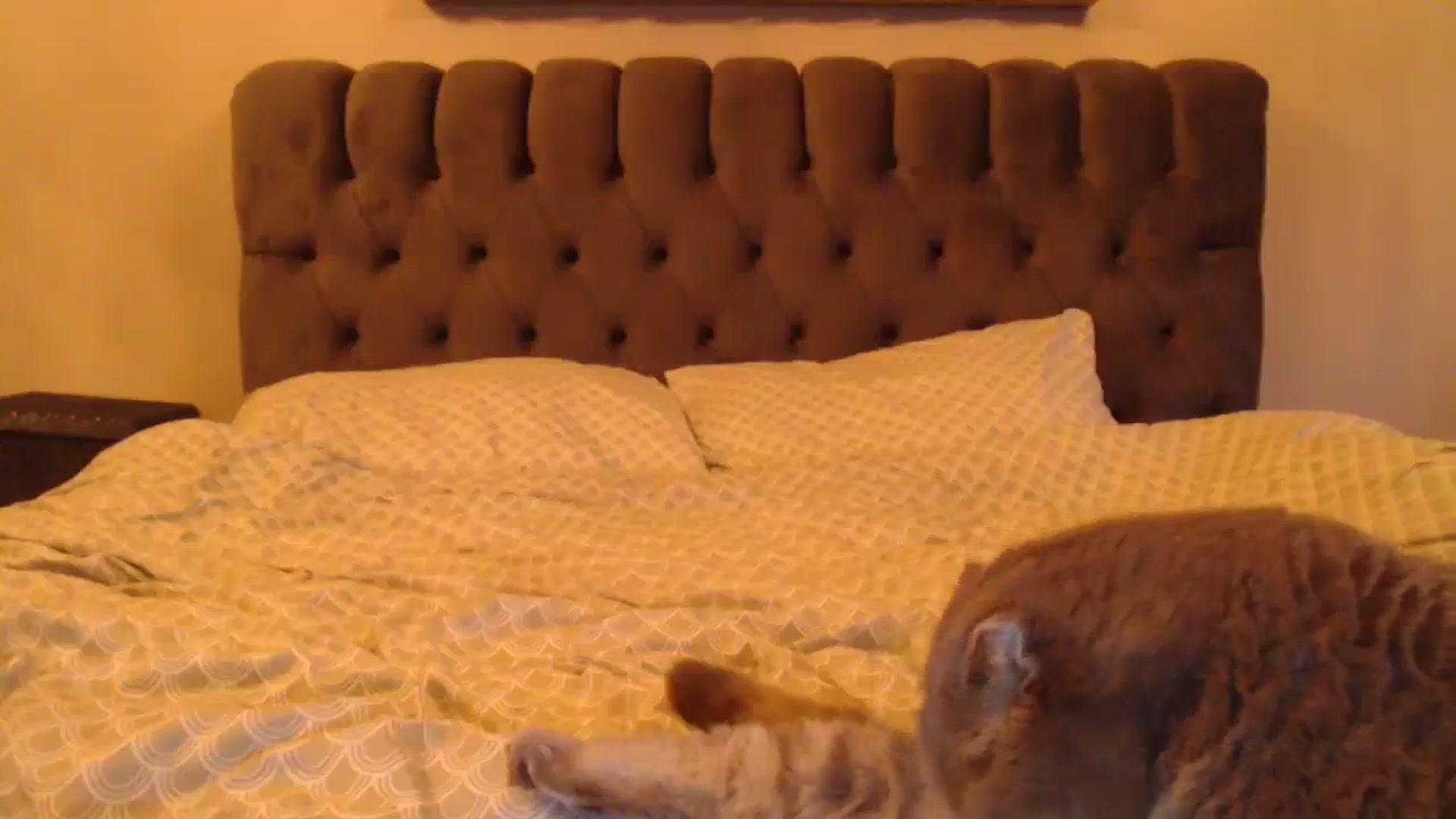 Gallery image thumbnail from call_me_em's myfreecams stream on, 11/18/2023, 13:21 image 18 of 20
