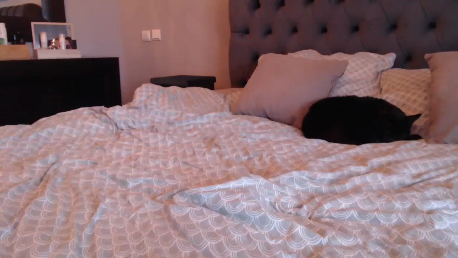 Gallery image thumbnail from call_me_em's myfreecams stream on, 12/08/2023, 10:23 image 9 of 20