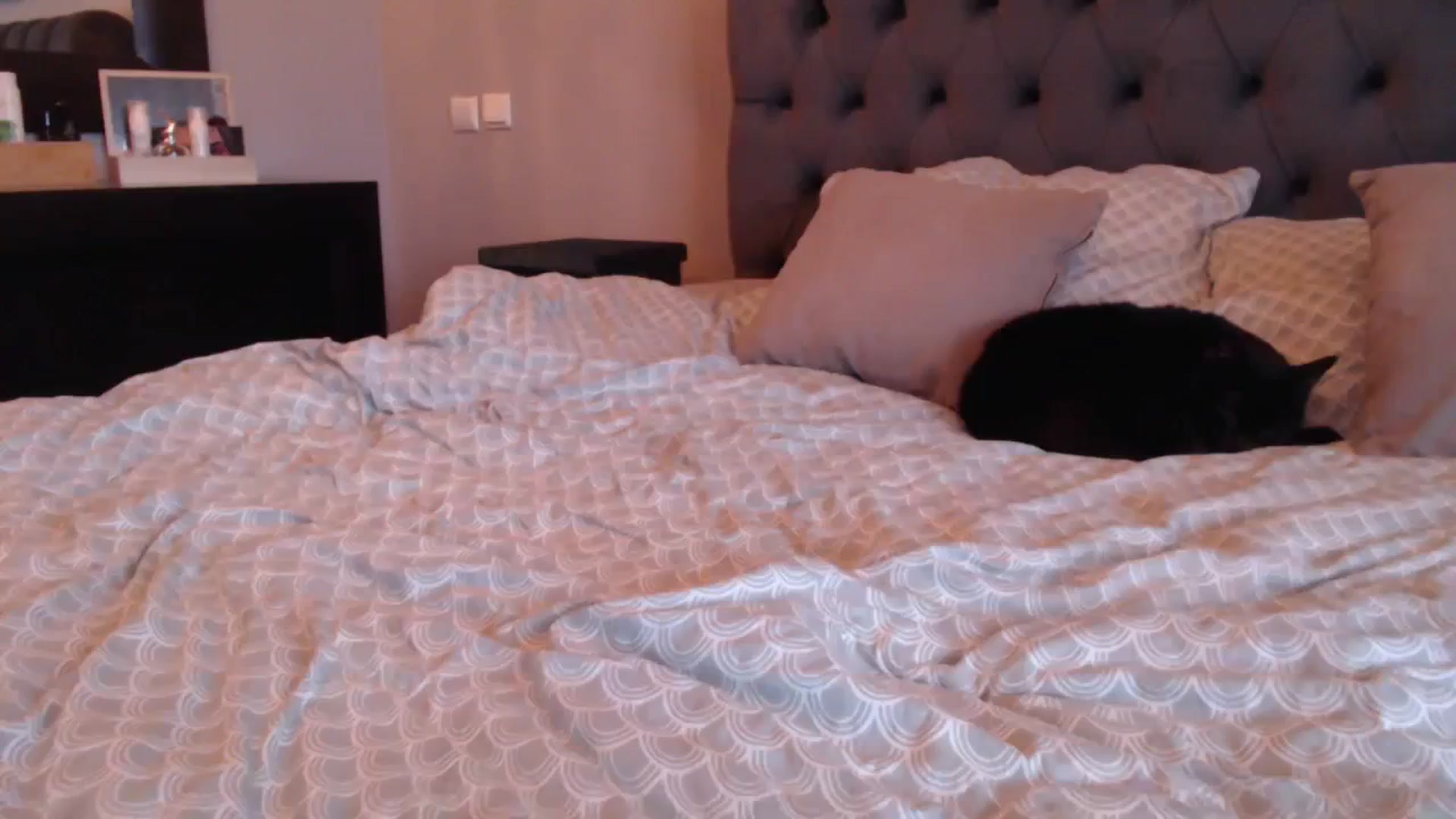 Gallery image thumbnail from call_me_em's myfreecams stream on, 12/08/2023, 10:23 image 7 of 20