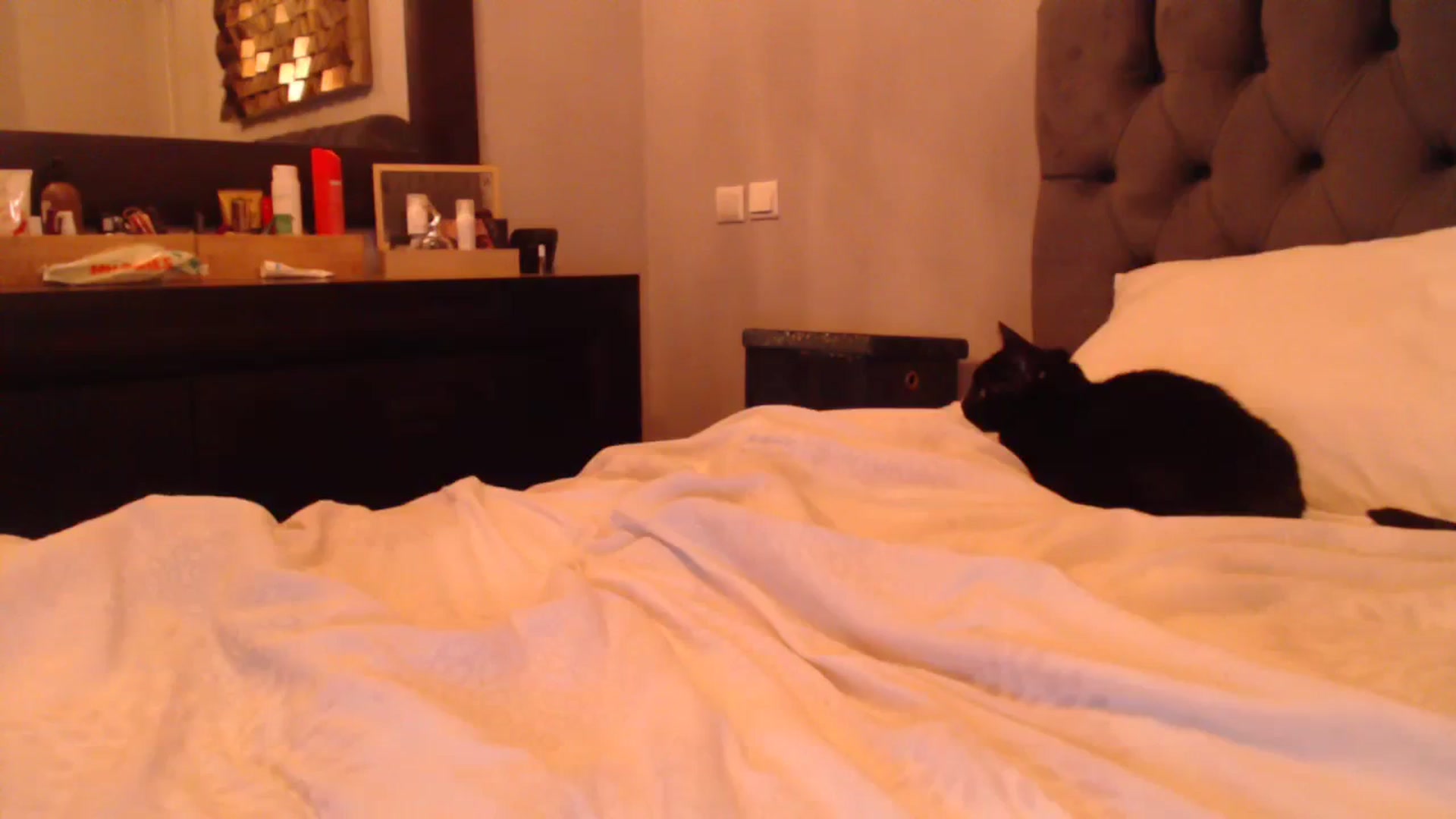 Gallery image thumbnail from call_me_em's myfreecams stream on, 12/18/2023, 19:02 image 17 of 20