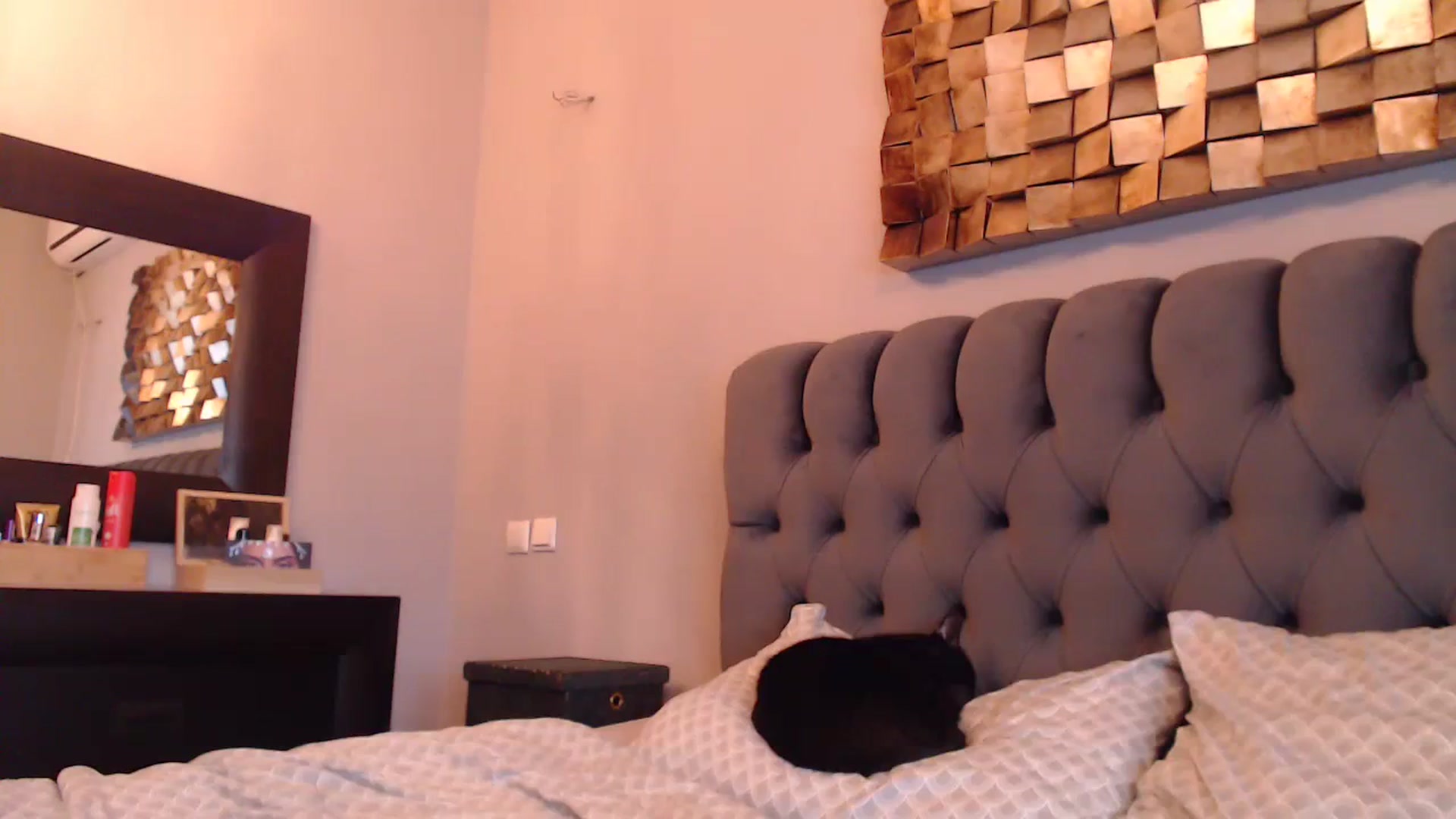 Gallery image thumbnail from call_me_em's myfreecams stream on, 01/28/2024, 10:16 image 13 of 20