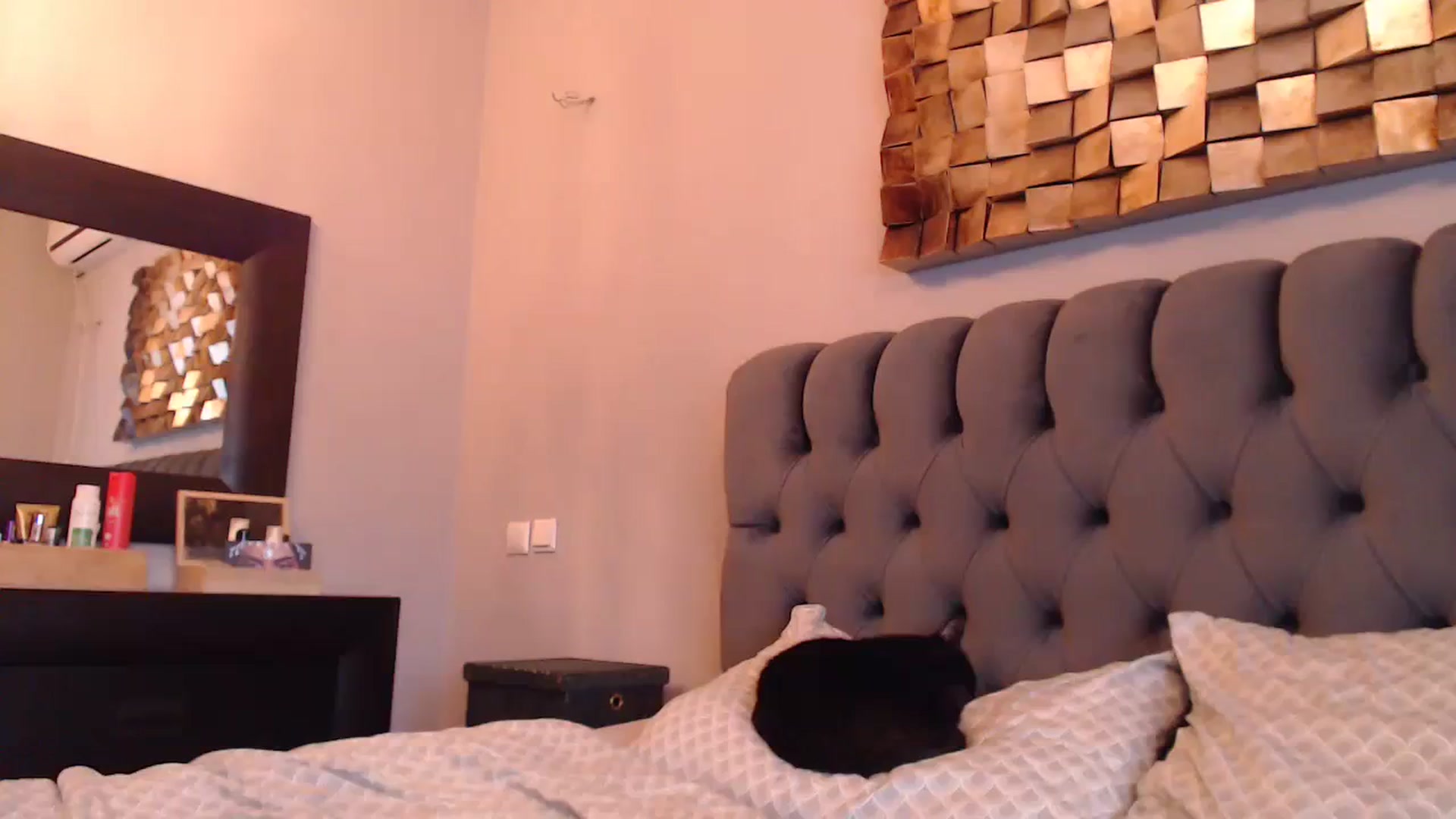 Gallery image thumbnail from call_me_em's myfreecams stream on, 01/28/2024, 10:16 image 14 of 20