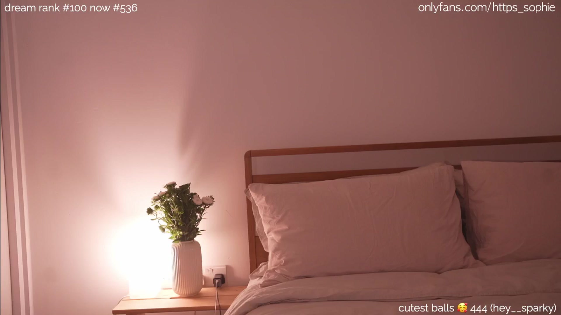 Gallery image thumbnail from camguurl's myfreecams stream on, 08/26/2024, 02:20 image 20 of 20