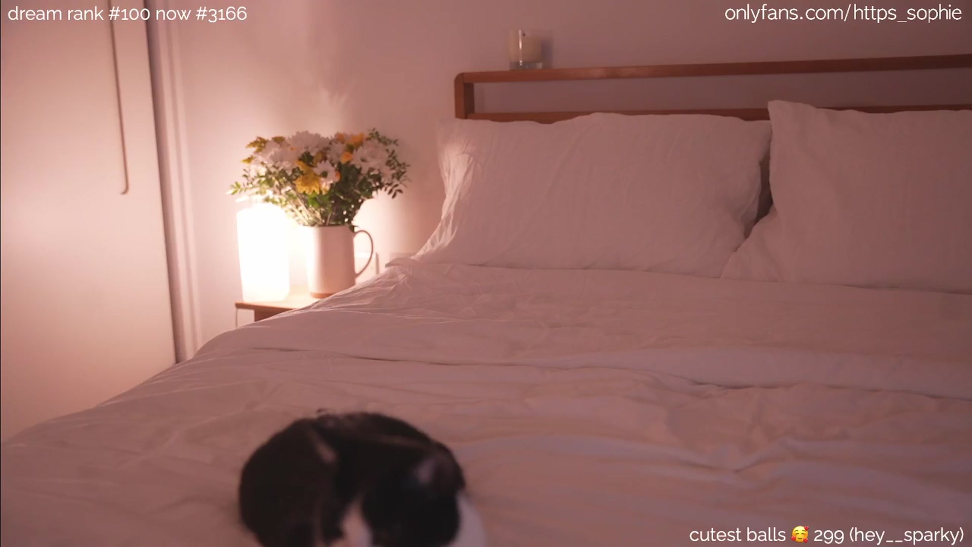 Gallery image thumbnail from camguurl's myfreecams stream on, 09/03/2024, 02:03 image 6 of 20