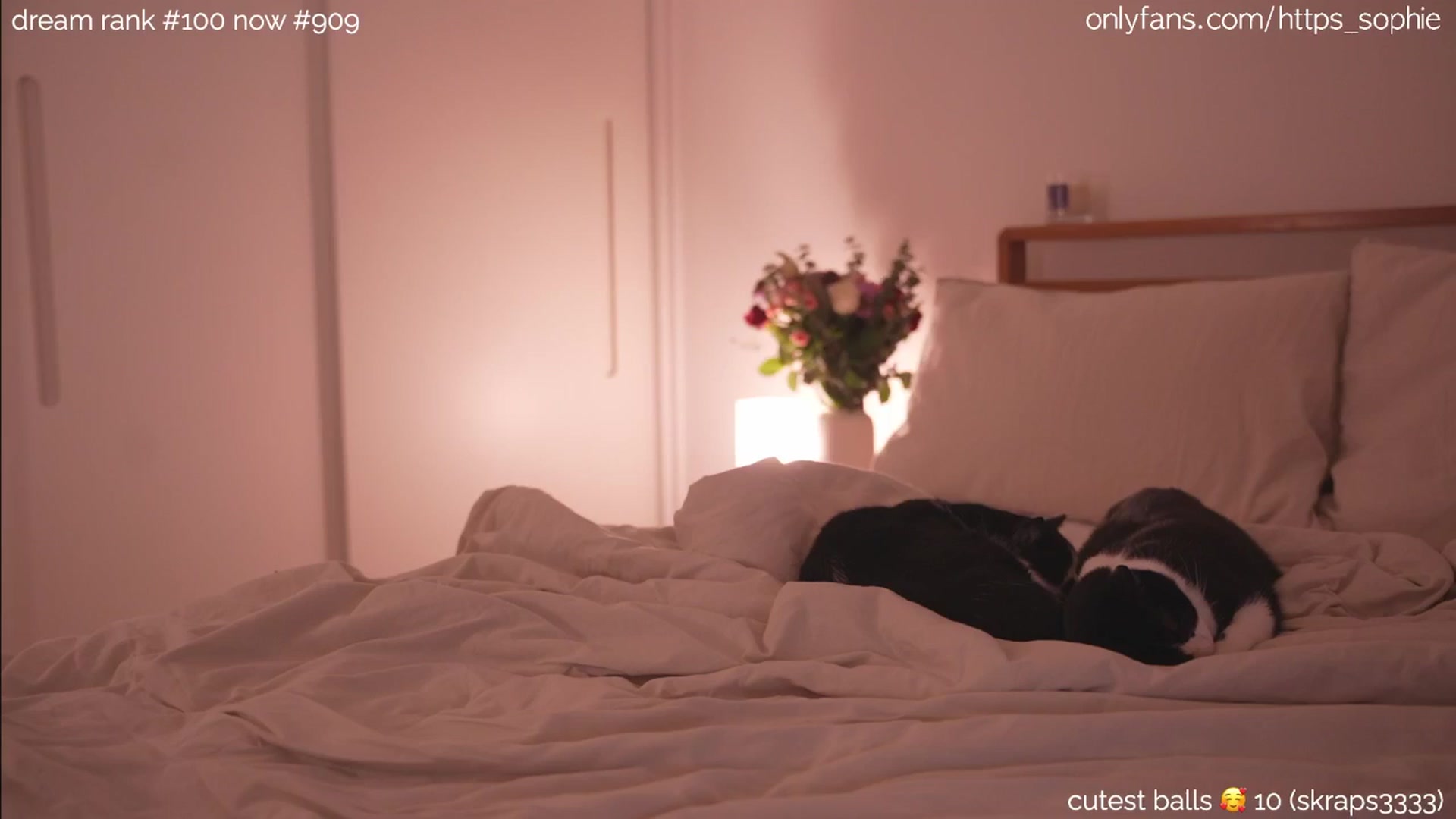 Gallery image thumbnail from camguurl's myfreecams stream on, 09/14/2024, 23:33 image 16 of 20